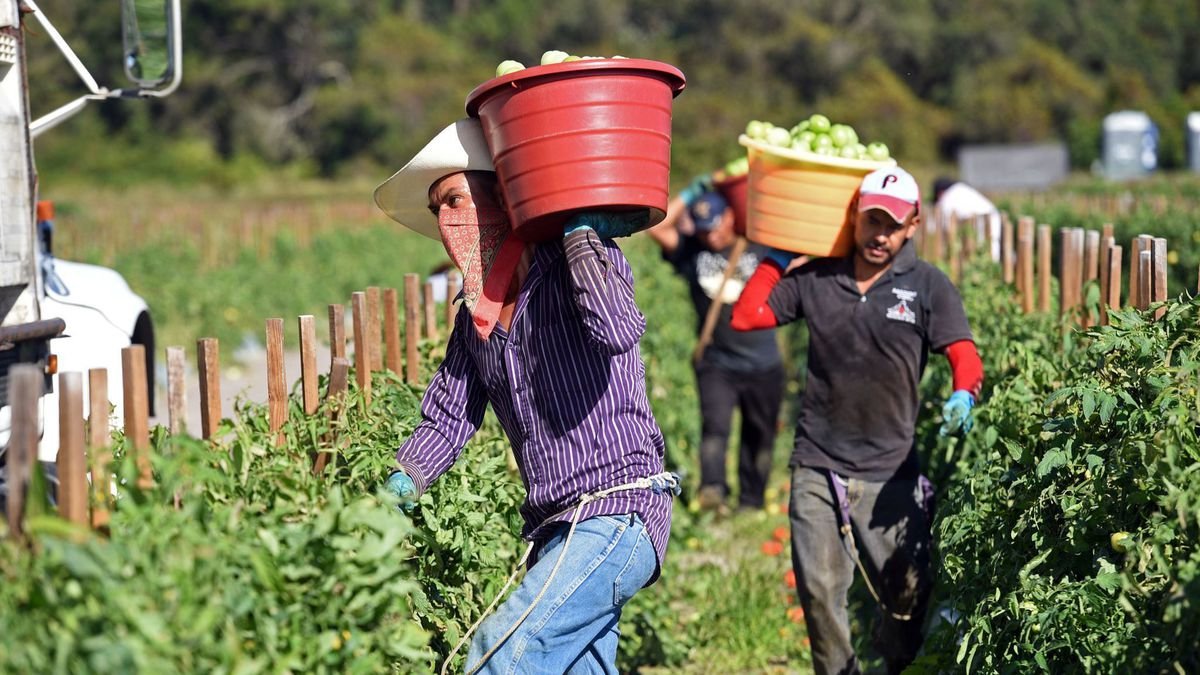Workers.jpeg