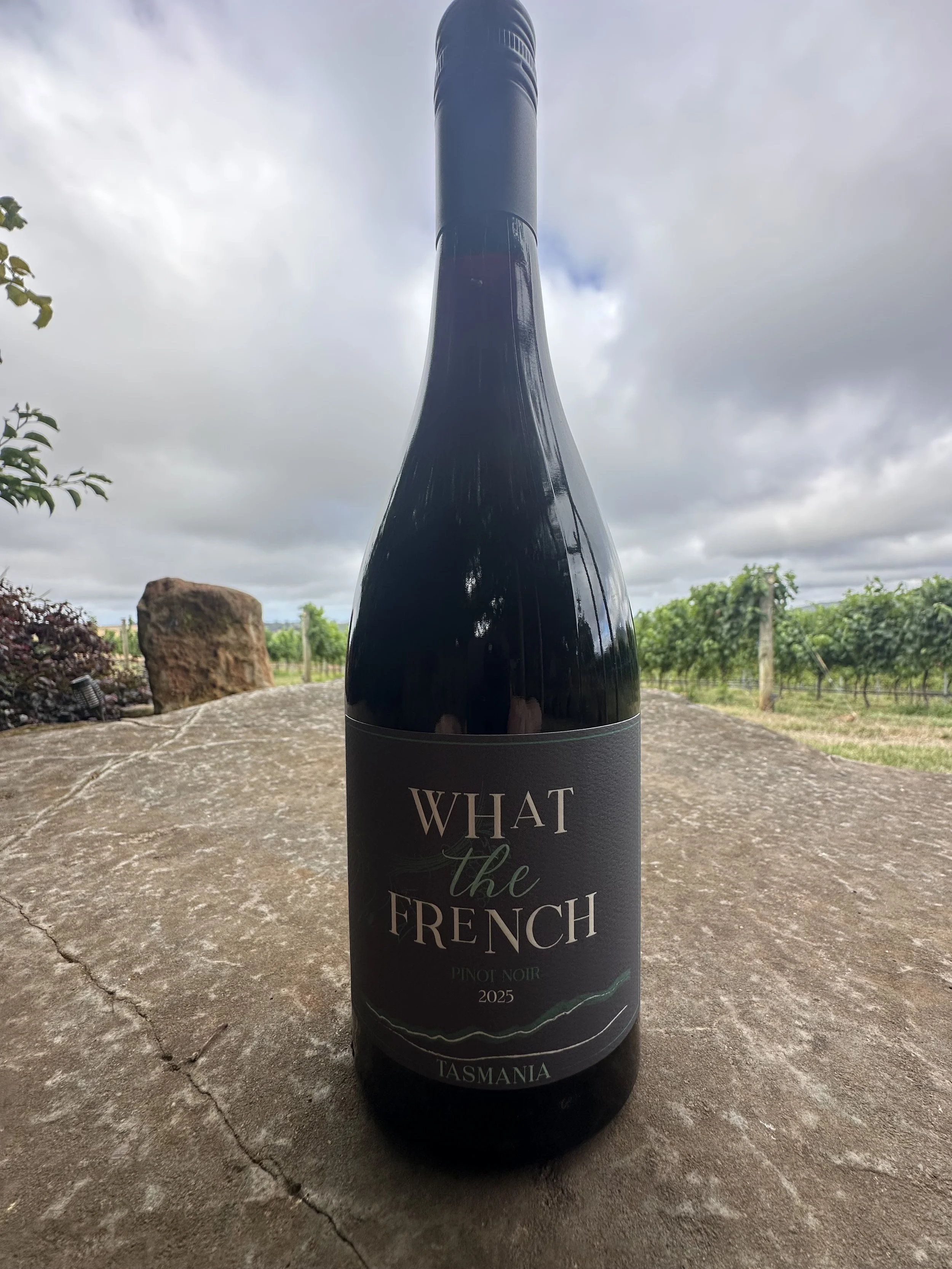 Pinot Noir half dozen