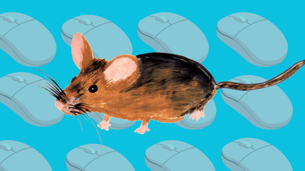 I hate mouse jigglers