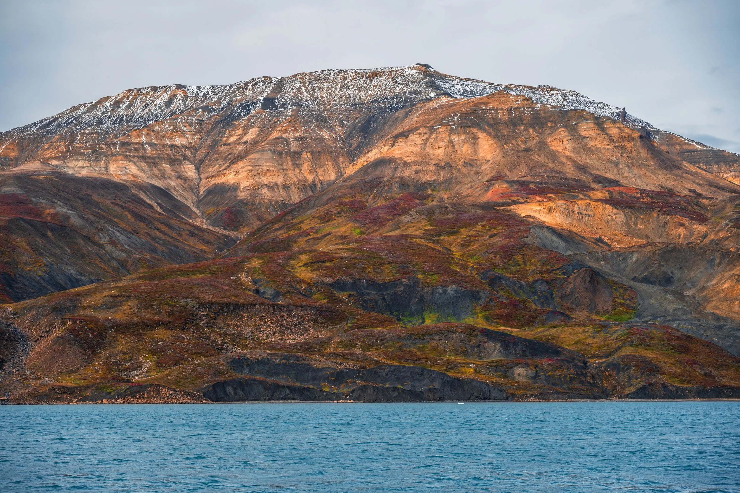 DSC_6098.jpg