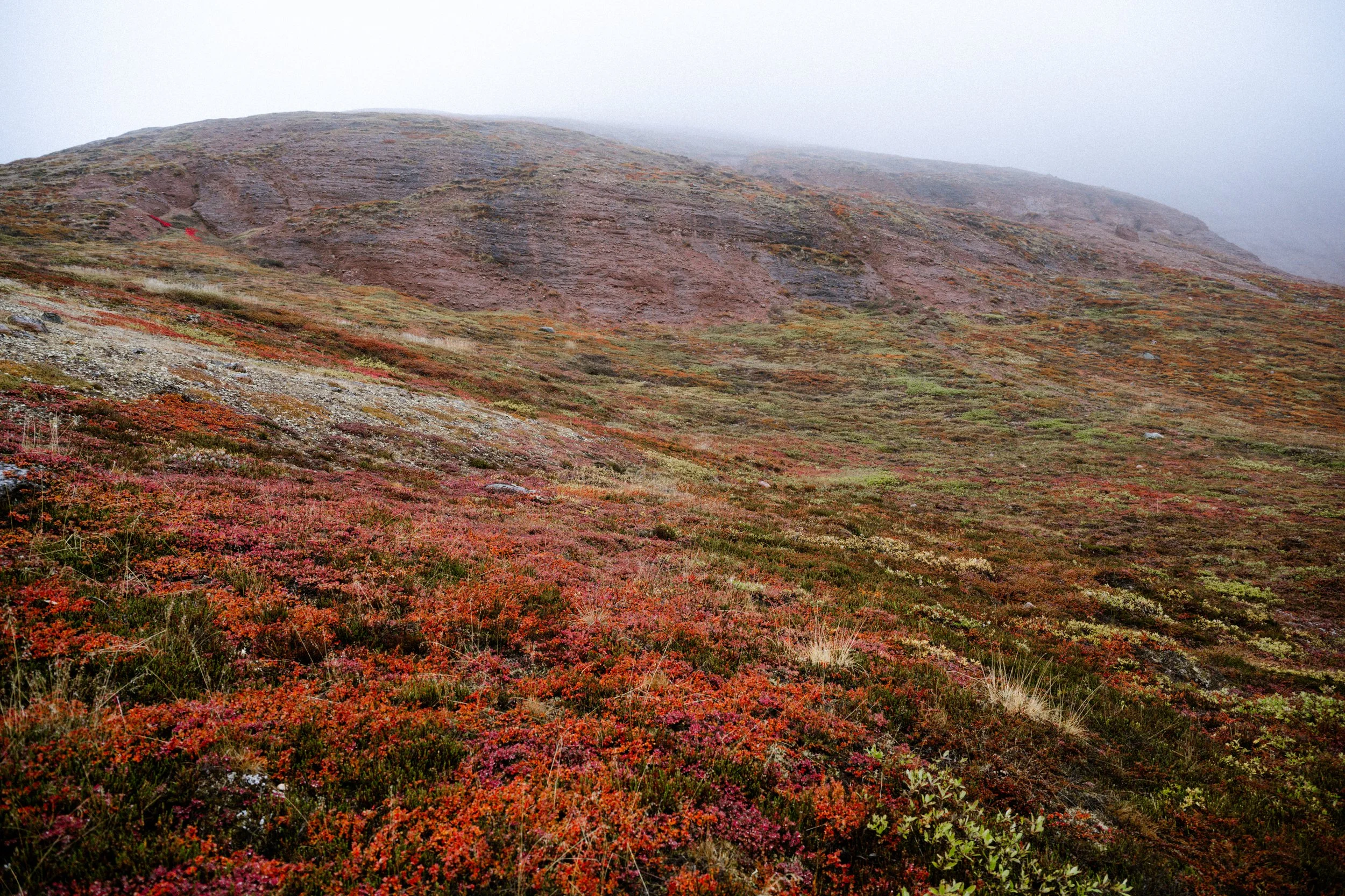 DSC_5230.jpg