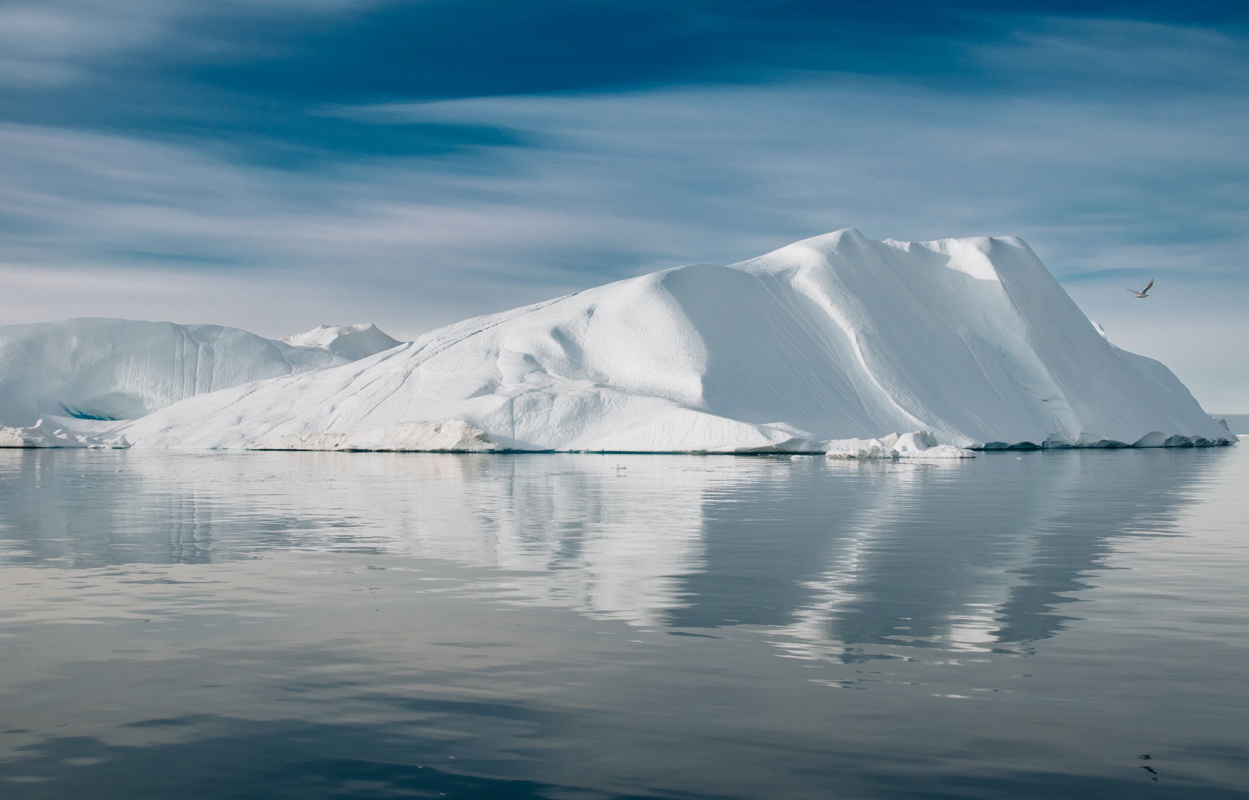 DSC_0955.jpg