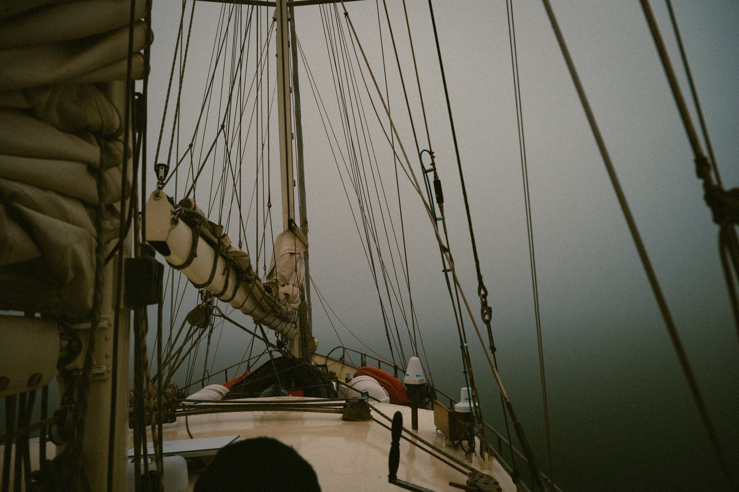 DSC_5363.jpg