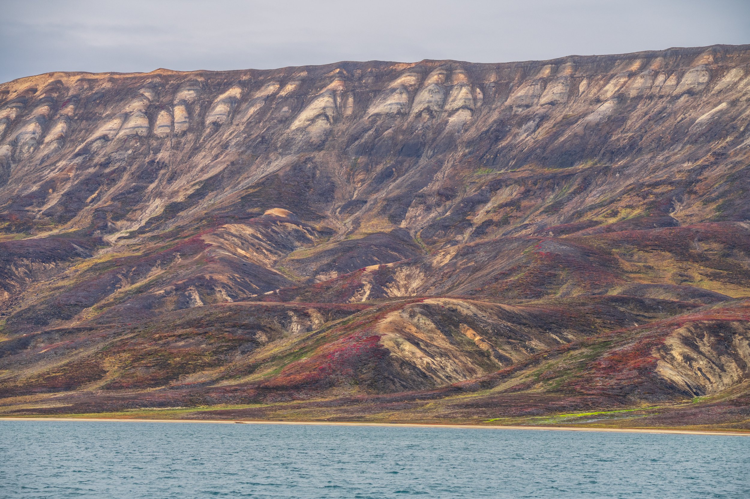 _DSC9140.jpg