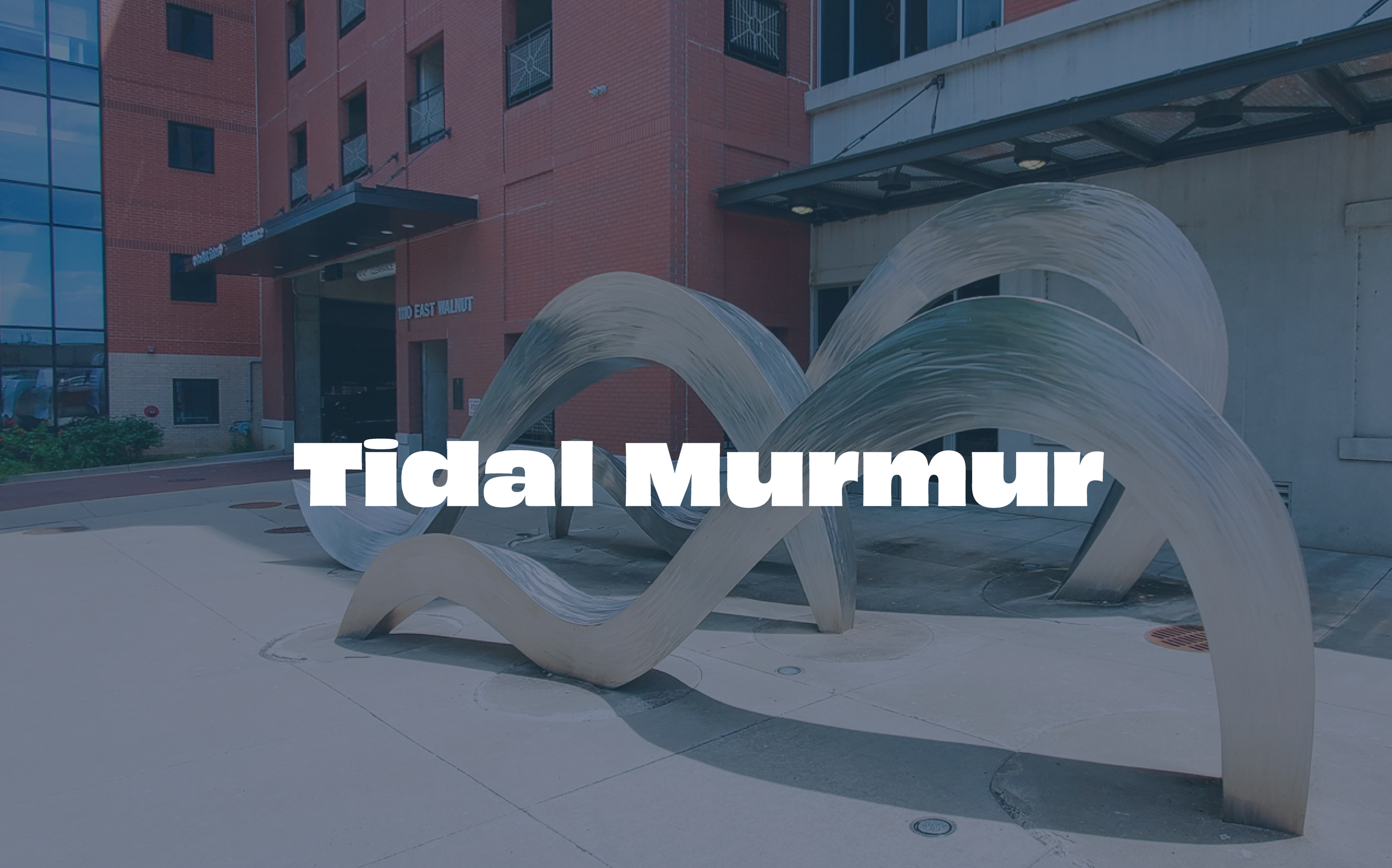 Tidal Murmur by Beth Nybeck