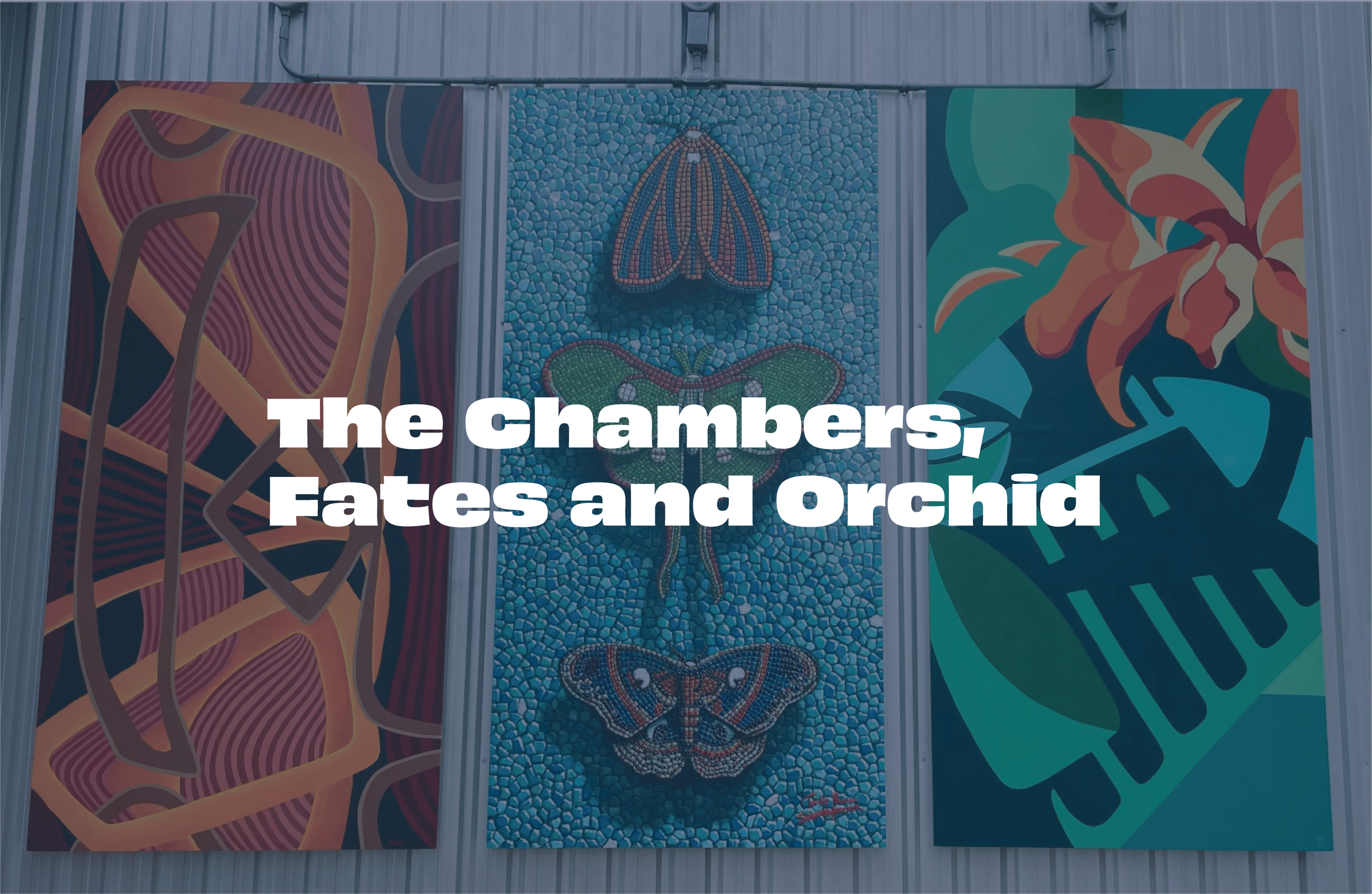 The Chambers, Fates and Orchid by John Fennell, Tootie Burns, Shannon Webster, and Laura Pintel