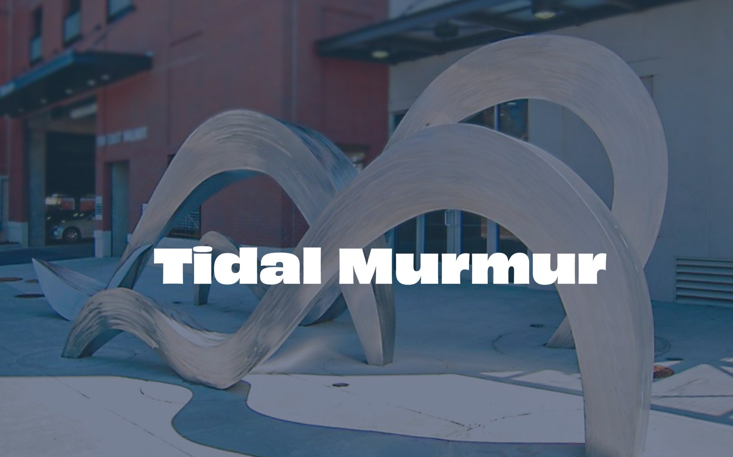 Tidal Murmur by Beth Nybeck