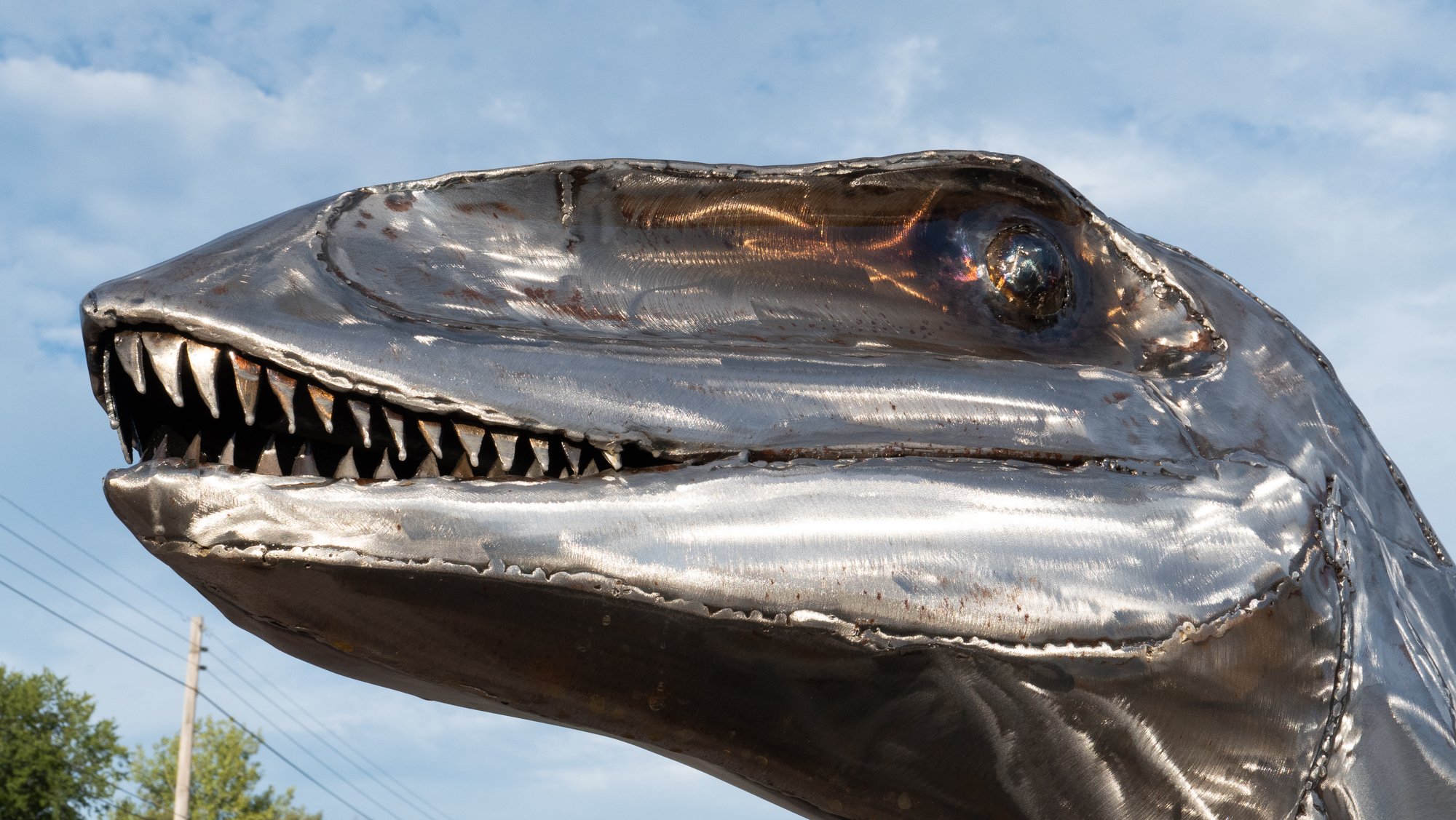 NVAD-2022 Photos-Bybee-Round 1-9.jpg