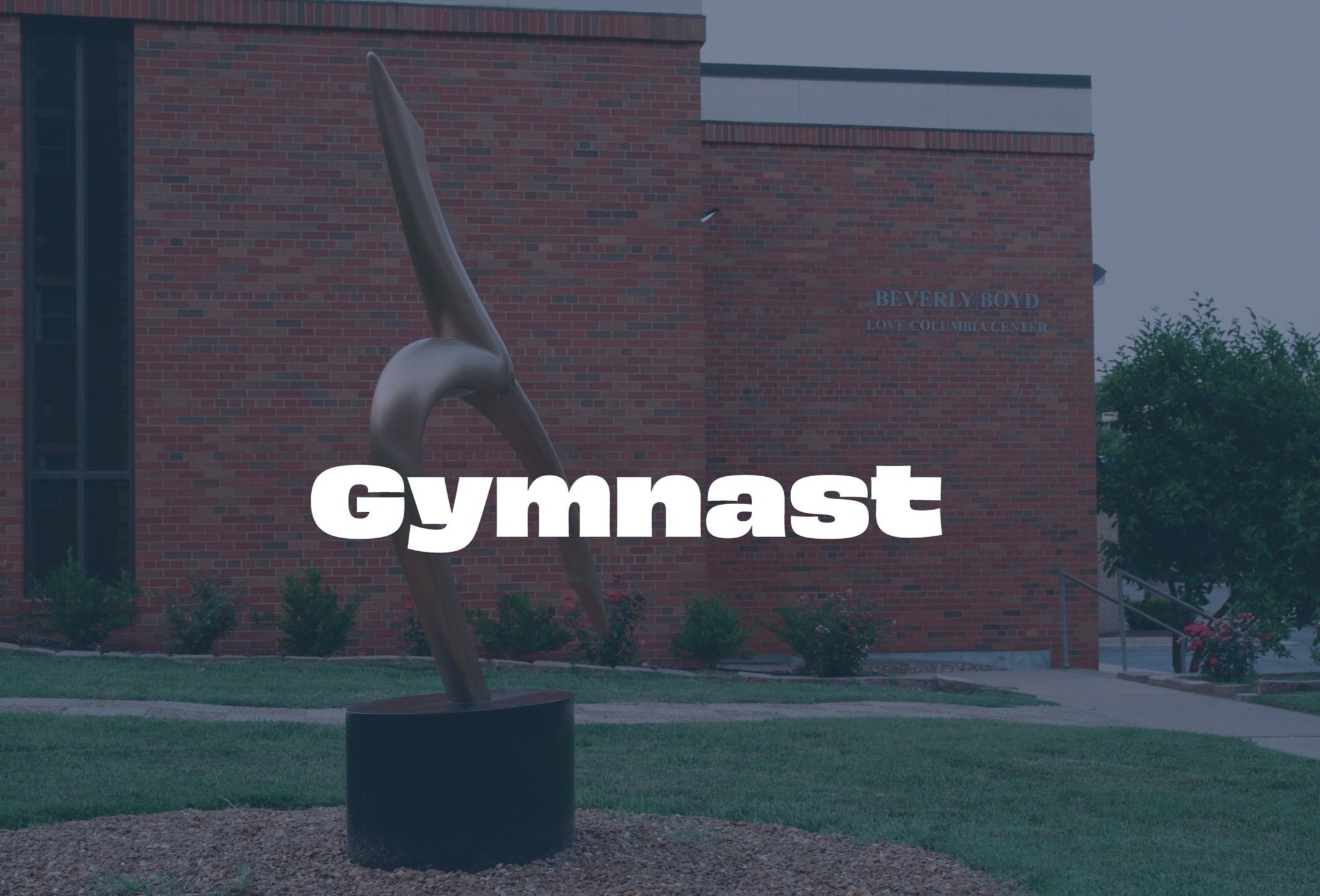Gymnast by Larry Young