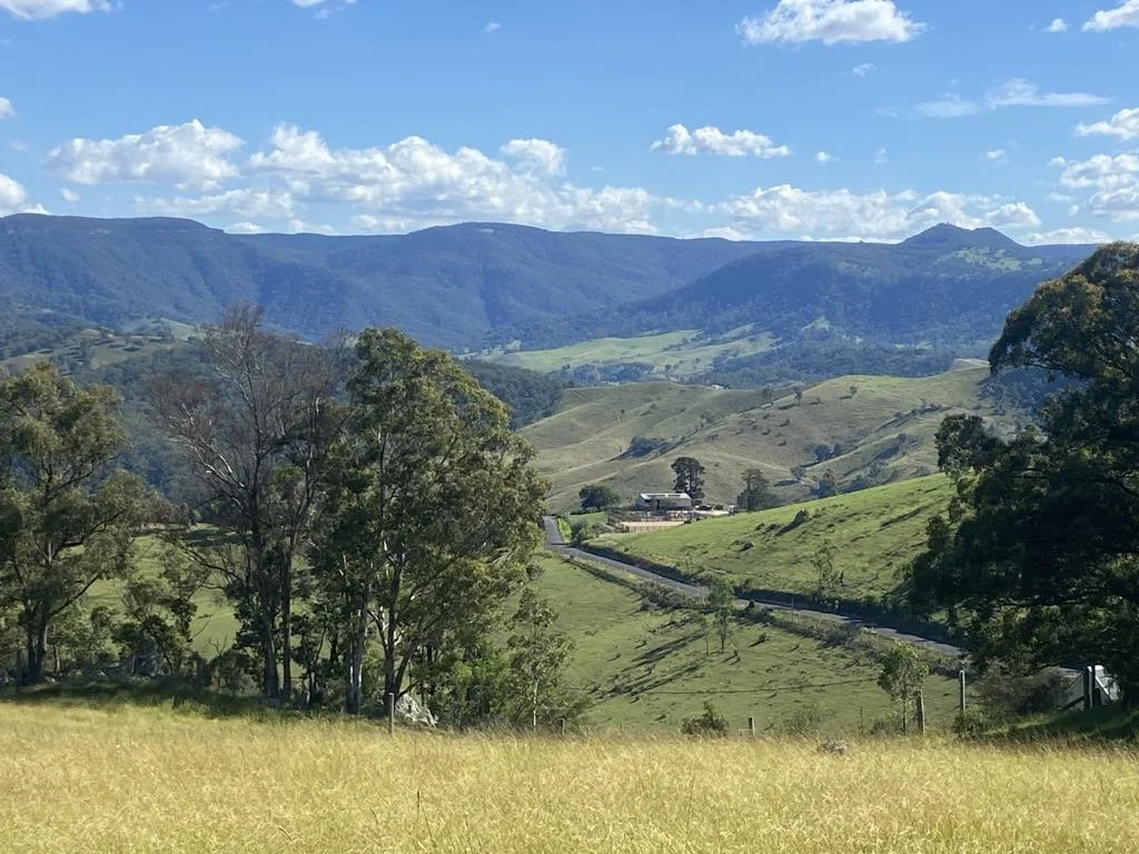 Green rolling hills with scattered trees, a winding road, and a mountain range in the background on a partly cloudy day.