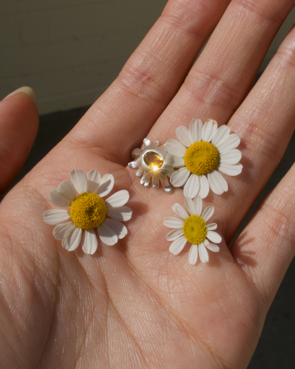 IMG_7237.png