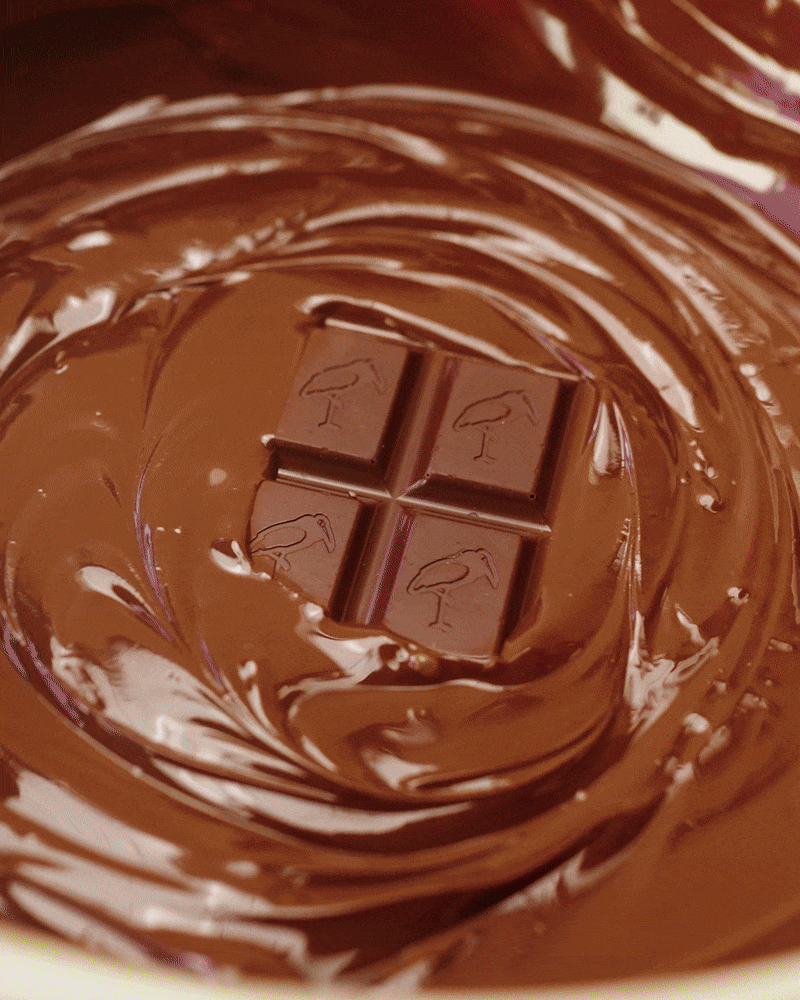 ezgif.com-optimize (6).gif