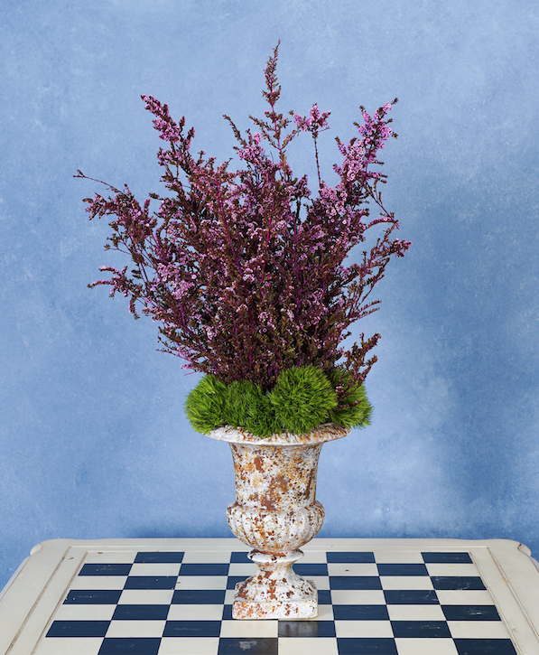 Screen Shot 2026-02-18 at 12.19.29 AM.png