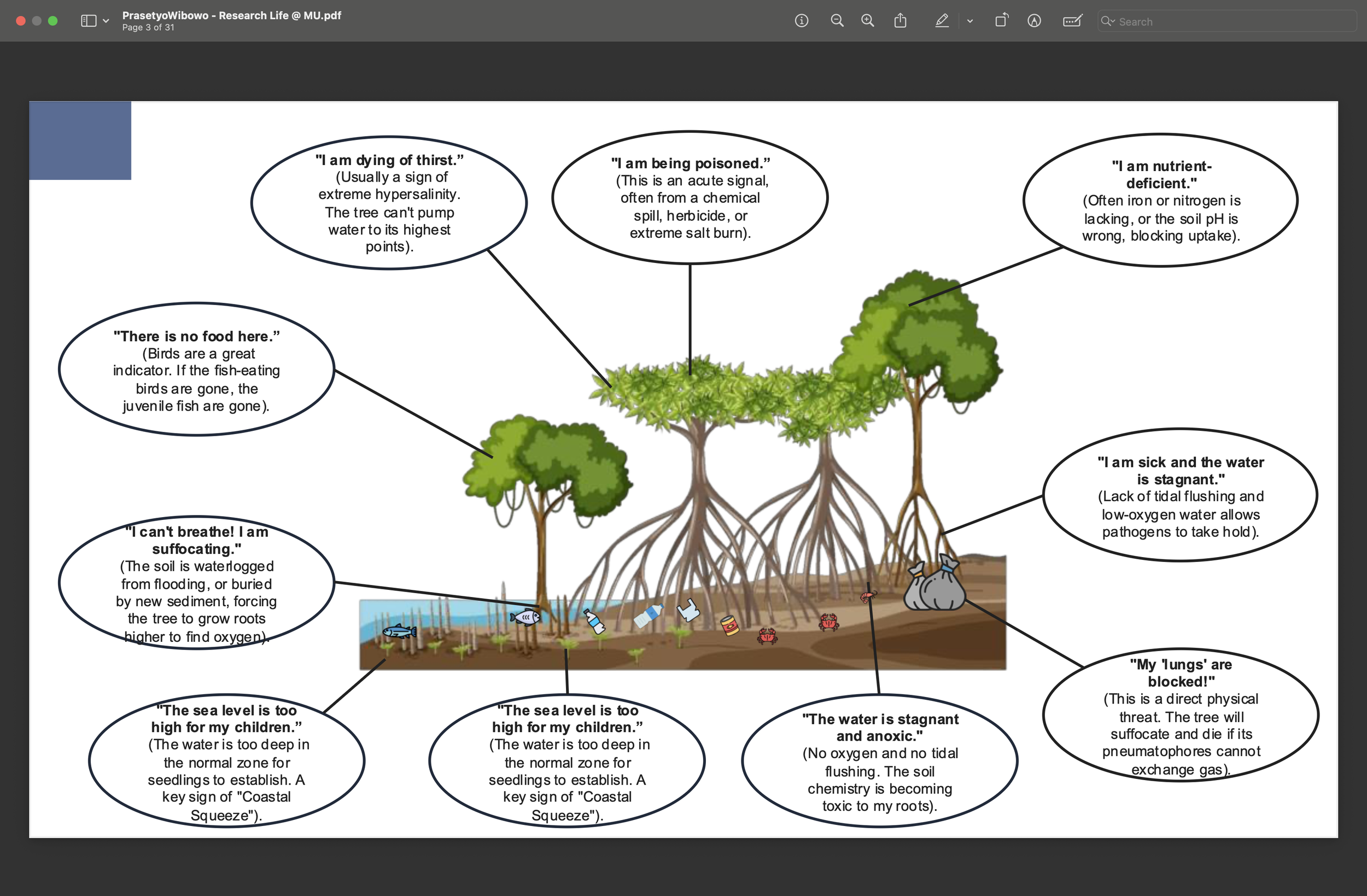Screenshot 2026-02-21 at 22.48.10.png