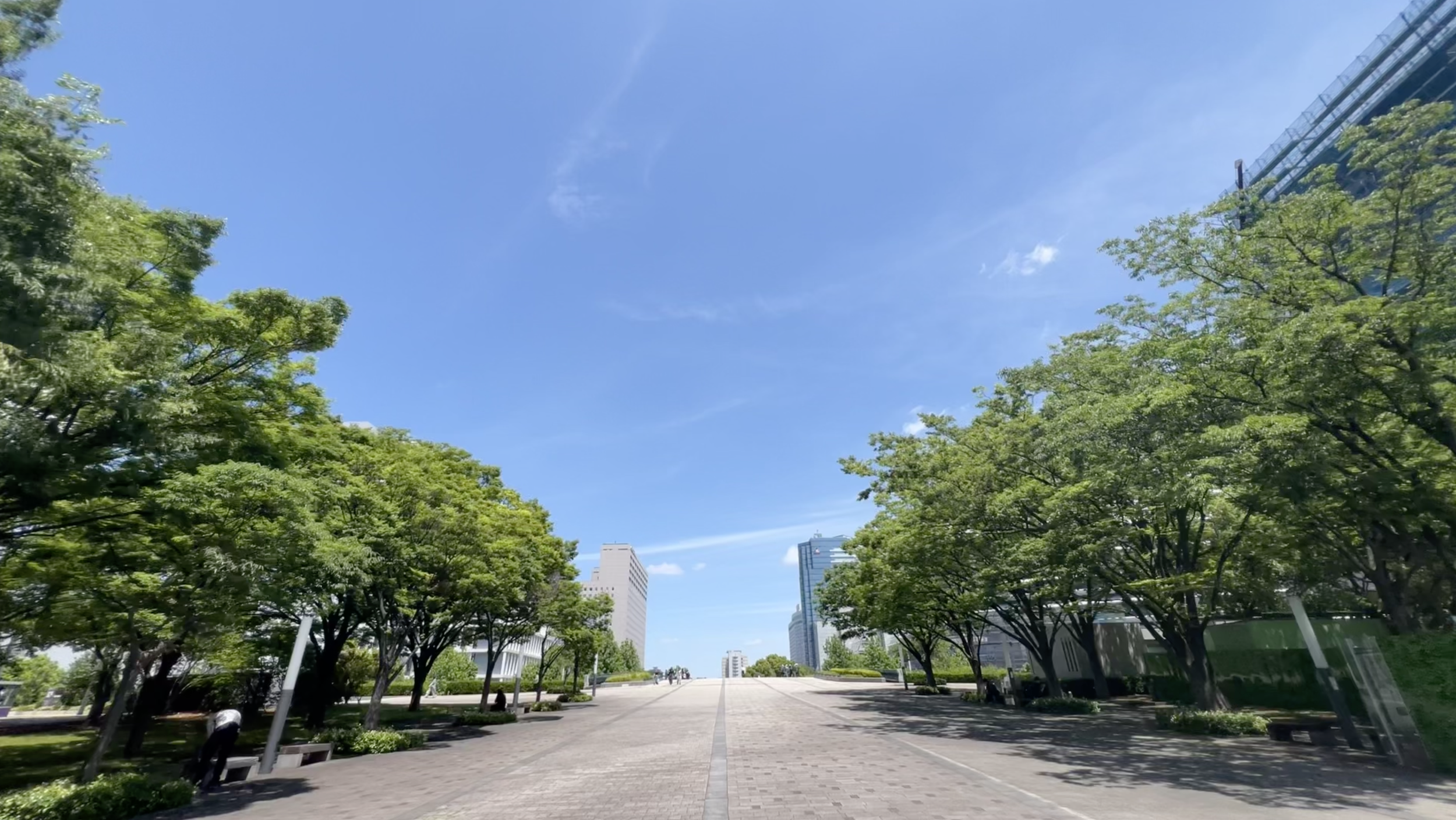 Screenshot 2026-02-26 at 11.16.18.png