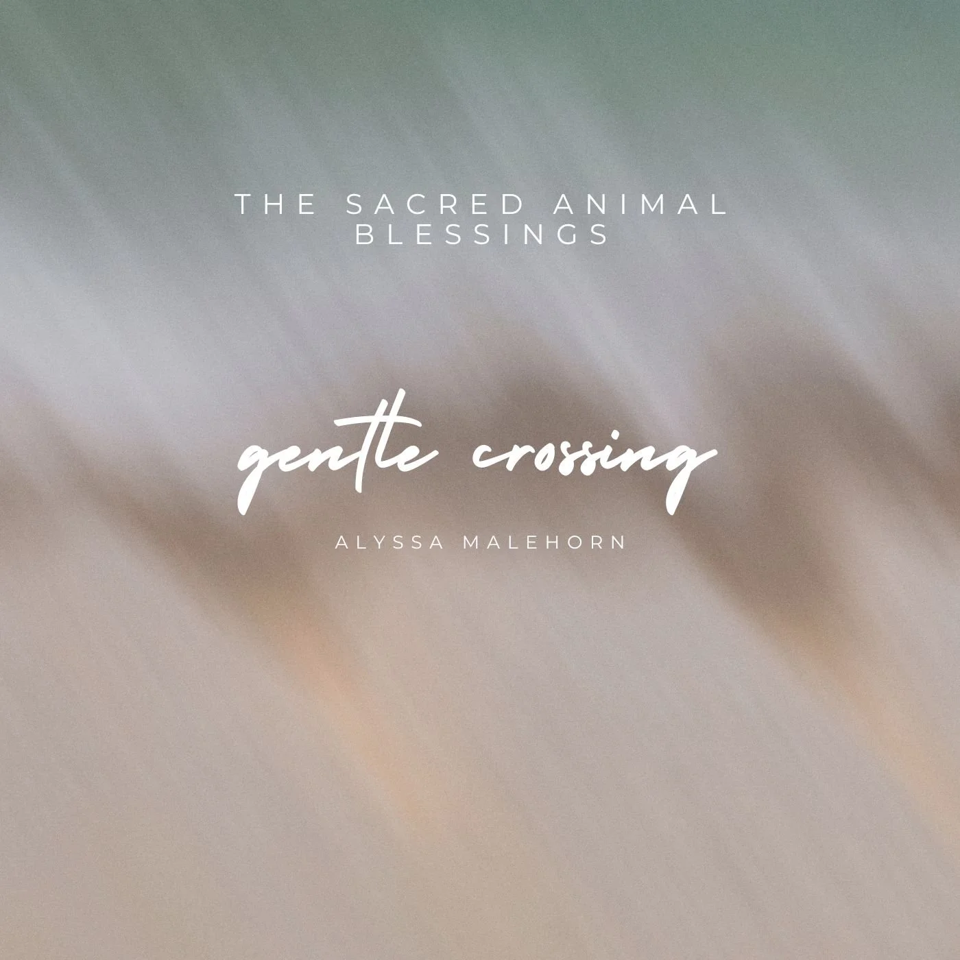 Blessing for the Animals: Gentle Crossing