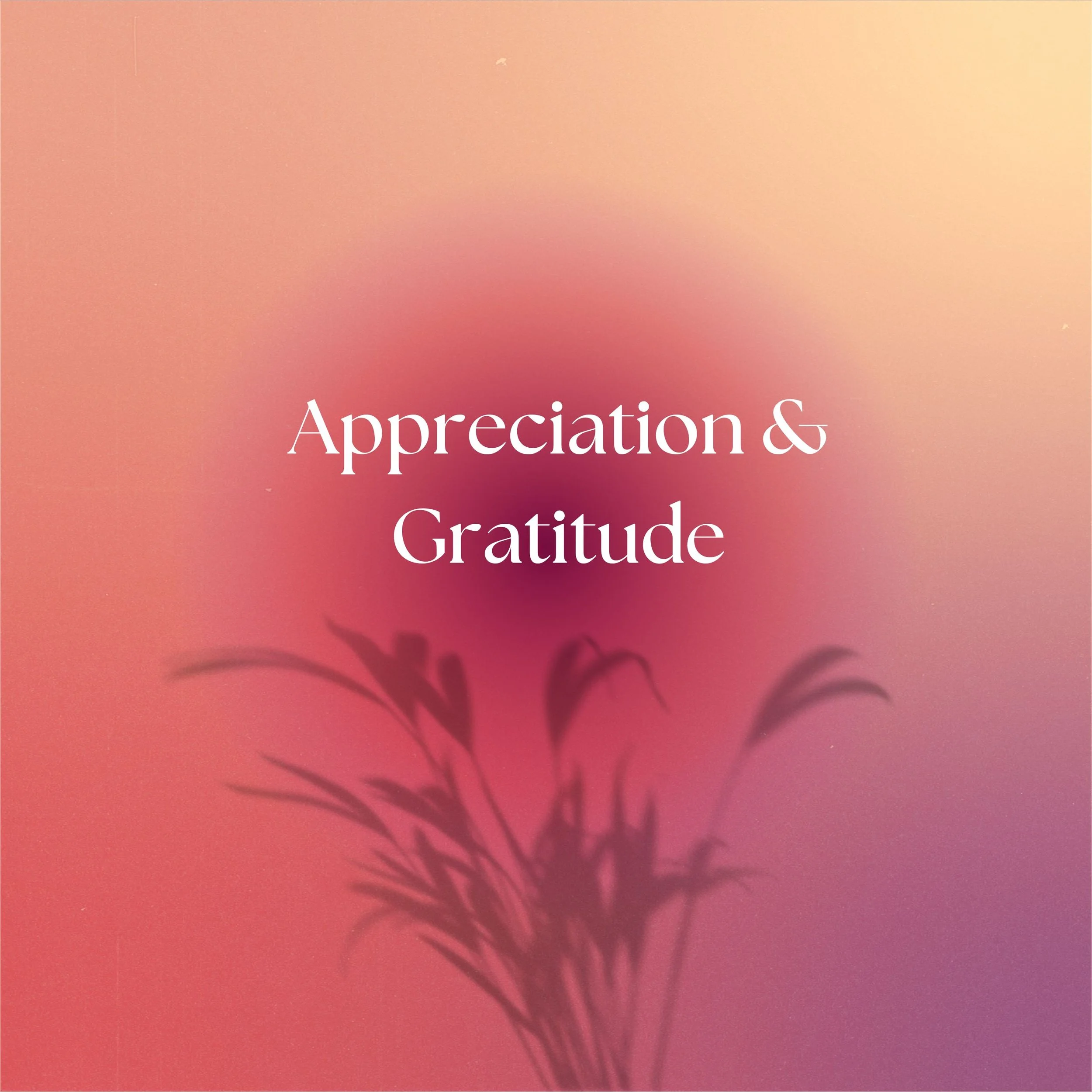 Appreciation & Gratitude.jpg