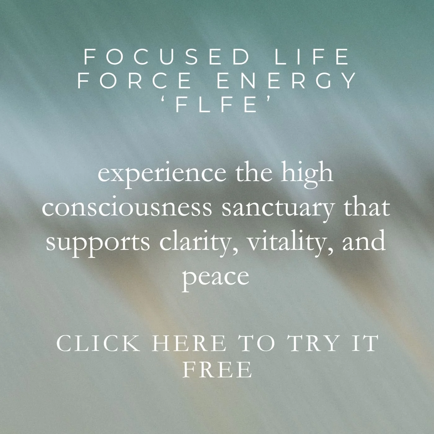 FLFE thumbnail 2026.jpg