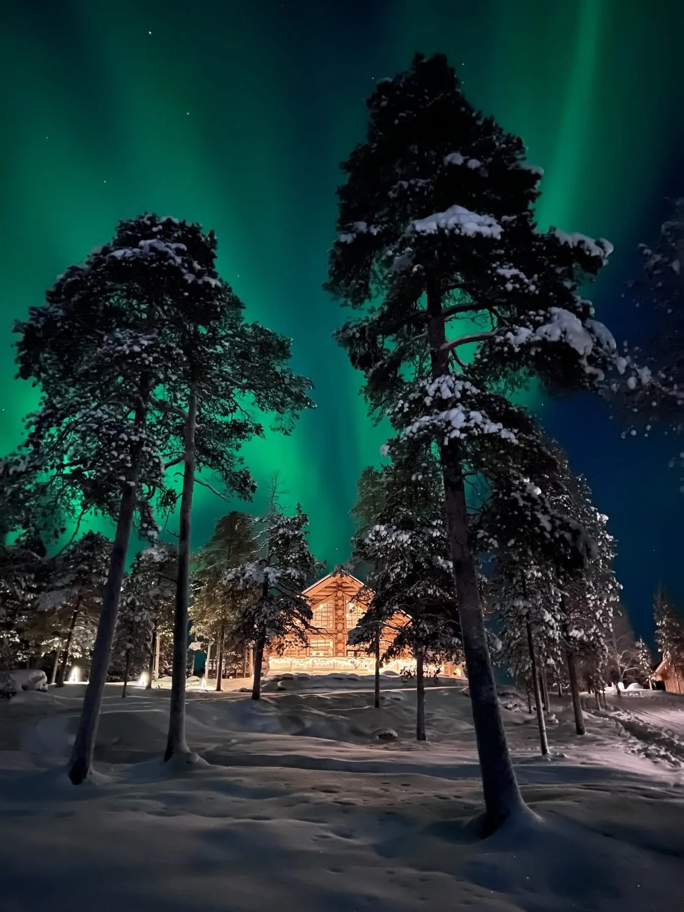 Sam Lewis Dorset Travel Agent Lapland 1.jpeg