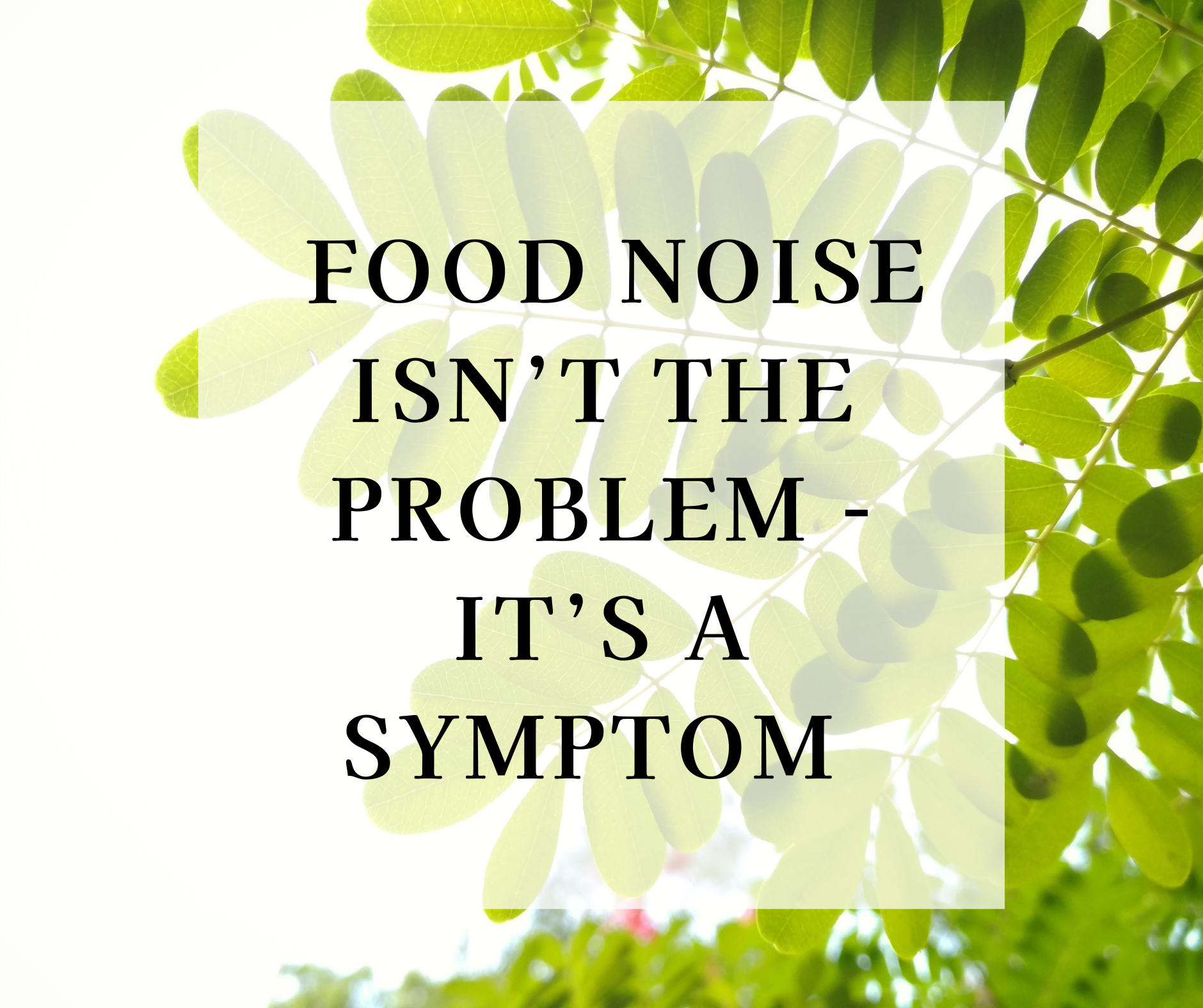 Food noise isn’t the problem - it’s a symptom