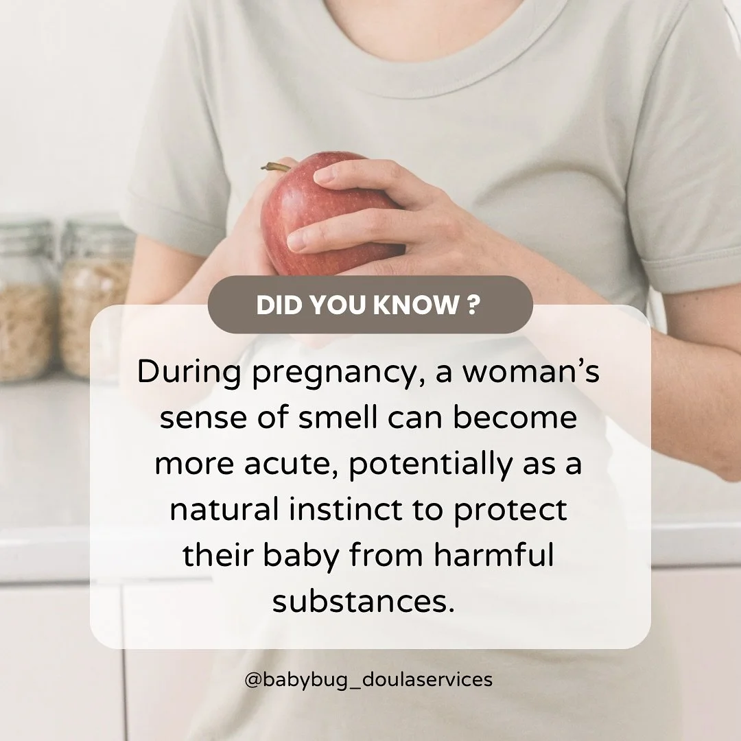 🌸 Did you know your heightened sense of smell in pregnancy isn&rsquo;t just random? Many believe it&rsquo;s nature&rsquo;s way of helping you detect and avoid potential dangers, keeping both you and your baby safe. ✨👶

Have you noticed certain smel