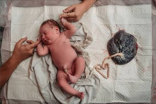 Did you know that the placenta&rsquo;s health is actually guided by the father&rsquo;s DNA? 💡

So if your partner has ever said, &ldquo;I feel like I can&rsquo;t really contribute during pregnancy,&rdquo; you can lovingly remind him, he already has.