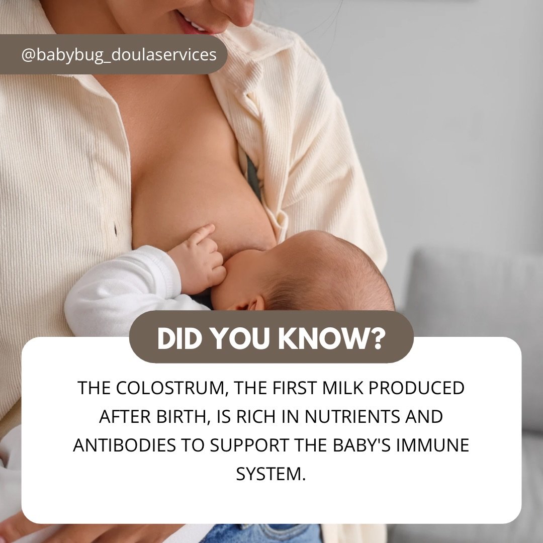 Colostrum = your baby&rsquo;s very first superpower ✨

That thick, golden first milk isn&rsquo;t just &ldquo;food&rdquo; it&rsquo;s packed with immune support, gut protection, and exactly what your baby needs in those first few days earthside 🤍

You