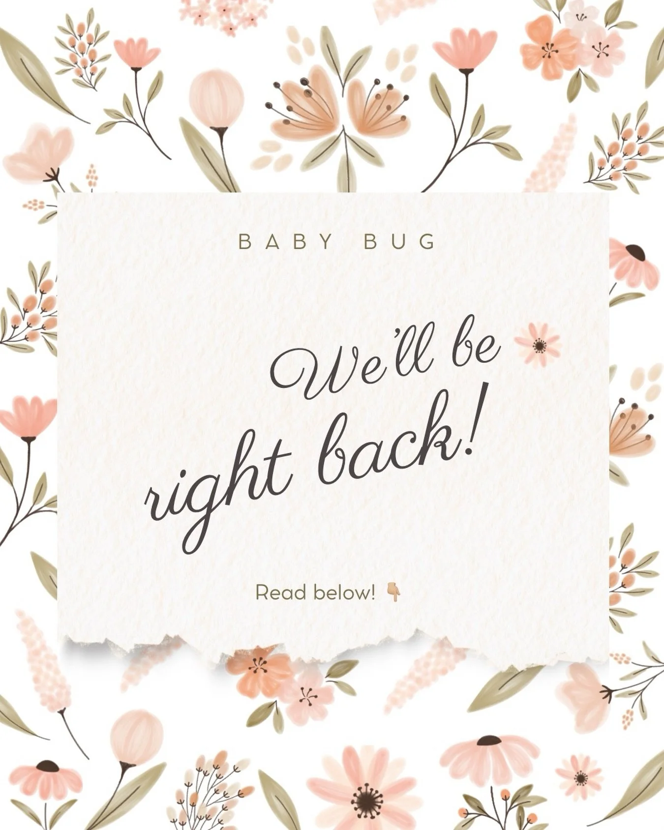 A little update from Baby Bug

Five months ago when I leapt into this work with both feet, I never anticipated it would grow this quickly or become as full as it has.

As our team, our social media, and our Baby Bug families continue to grow, I&rsquo