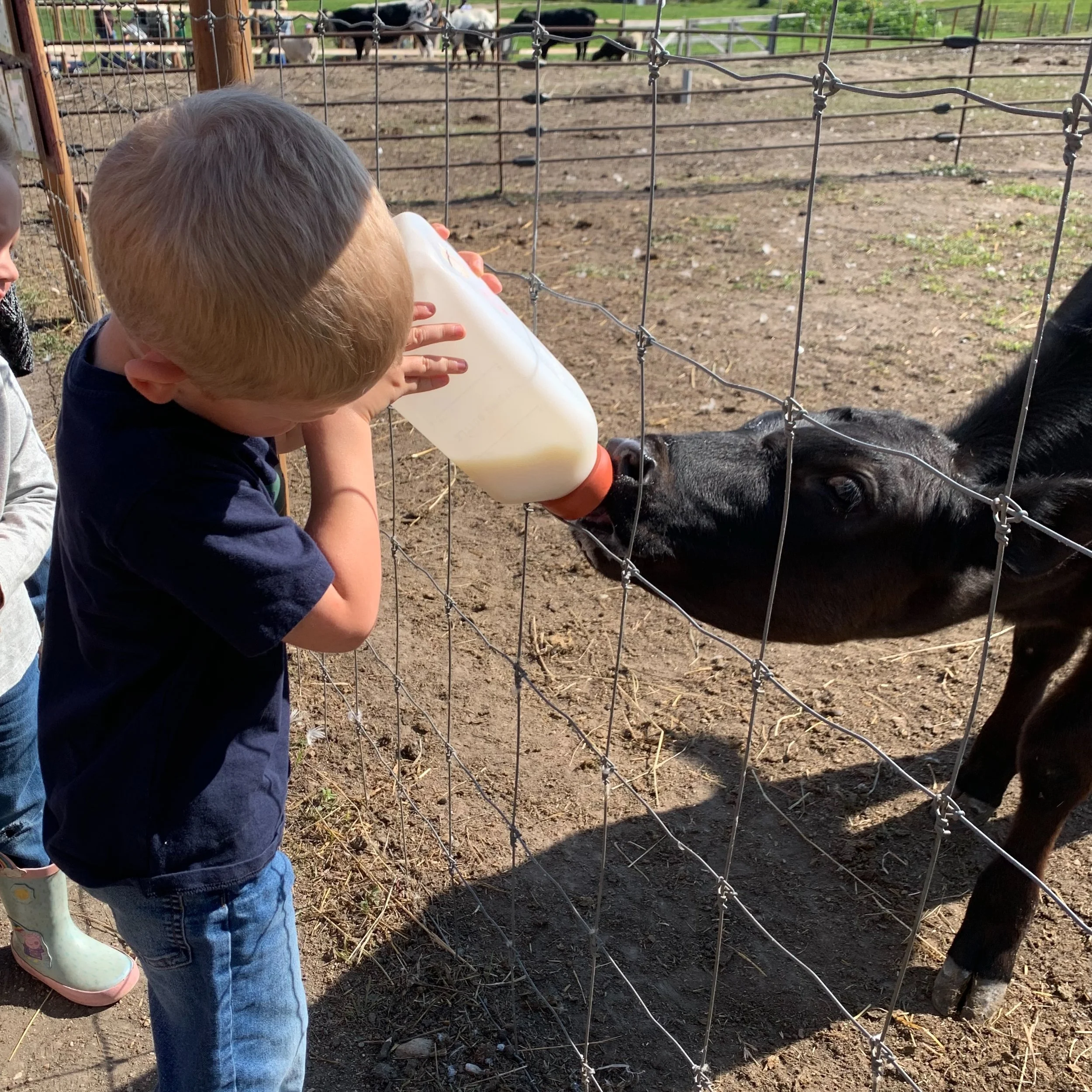 Sometimes my page is full of birth stories, late-night calls, and supporting new moms&hellip; but underneath it all, I&rsquo;m just a stay-at-home mama trying to give my boys a childhood they&rsquo;ll remember. 🤍

And honestly? These little moments 