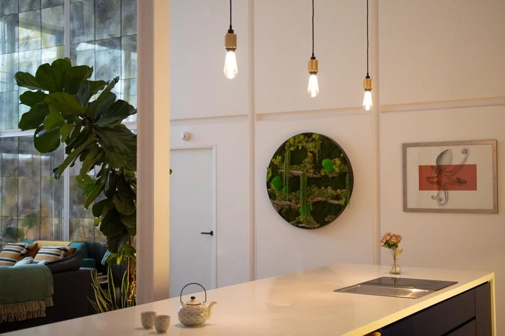 Copy of IMG_1250_9c0535c48c.jpg