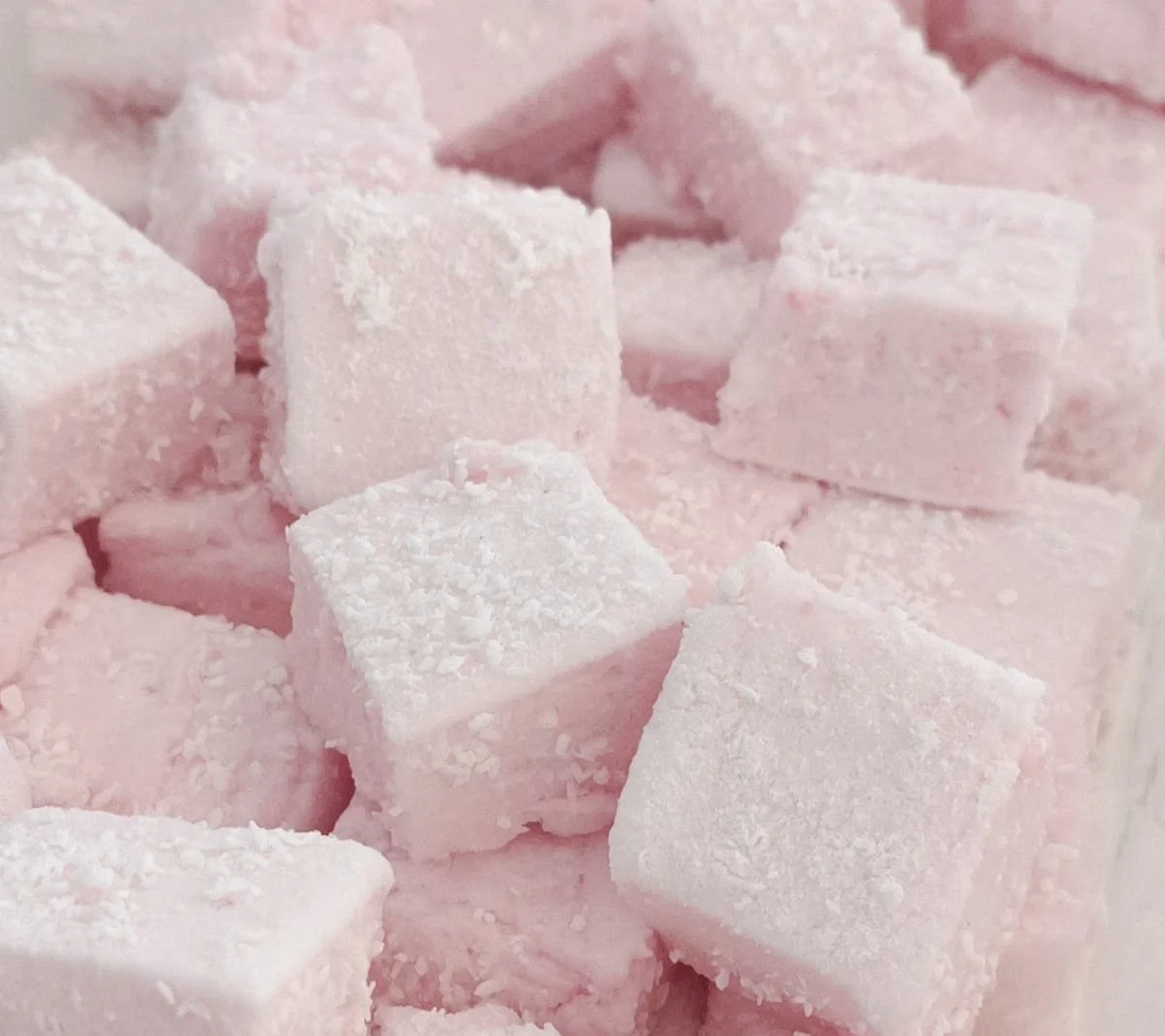 WhatsApp Image 2026-01-26 at 17.12.57.jpeg