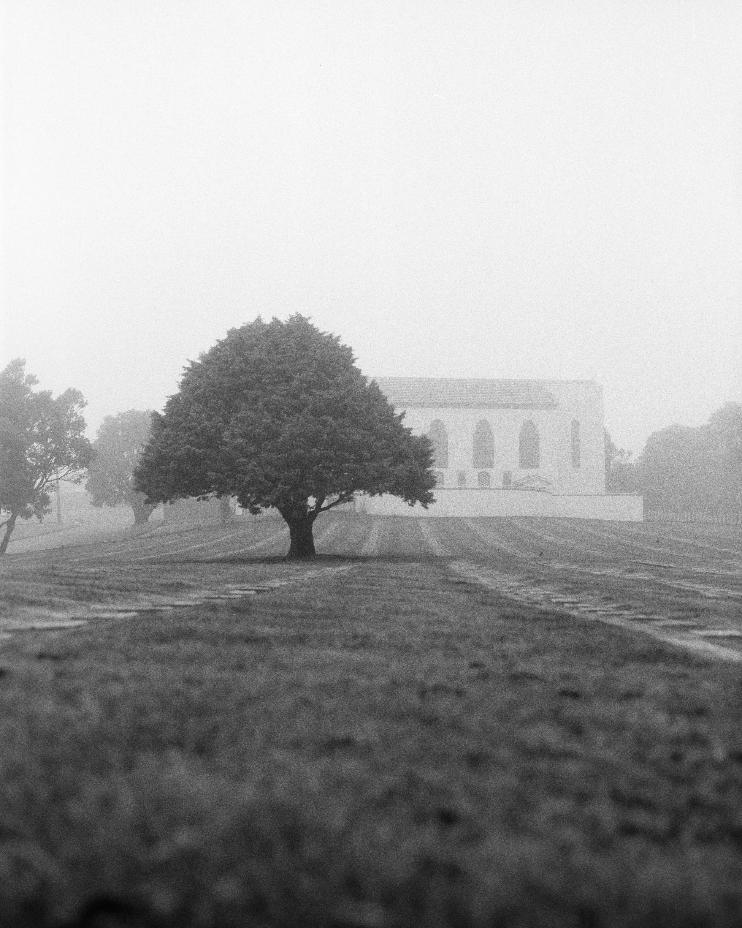 Karori Cemetery 