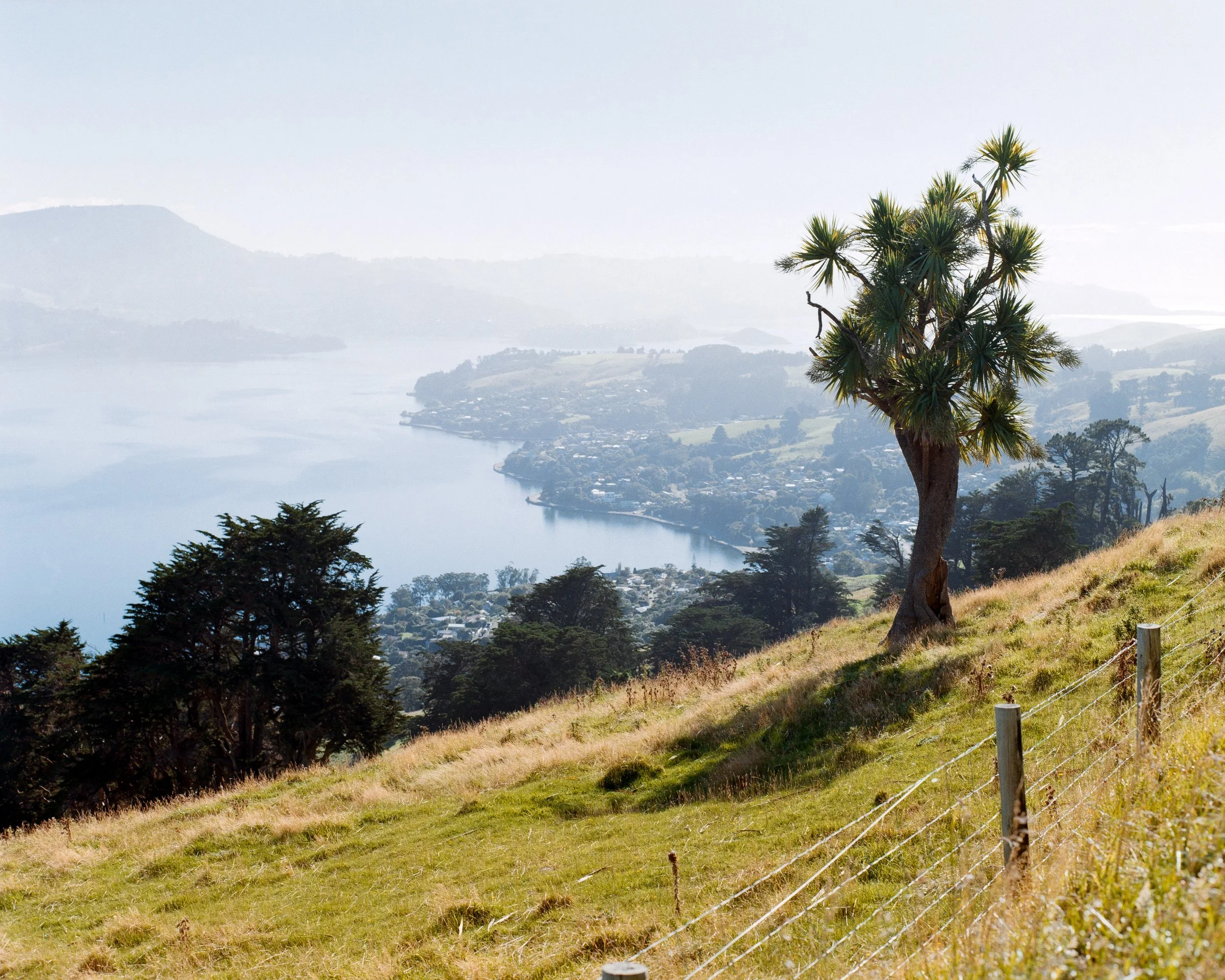 Otago Peninsula