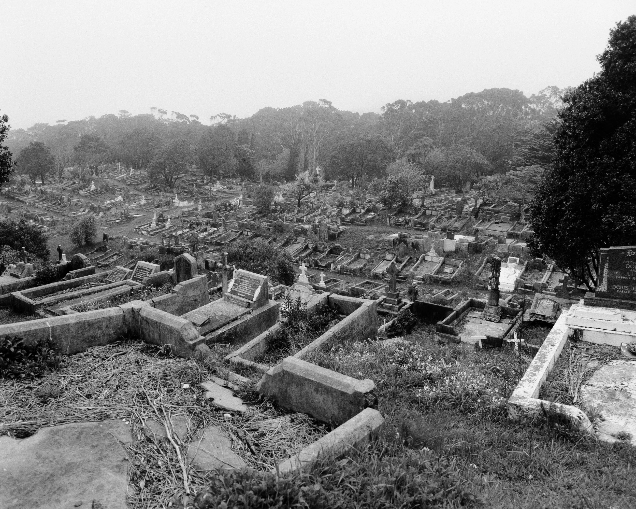 Karori Cemetery 