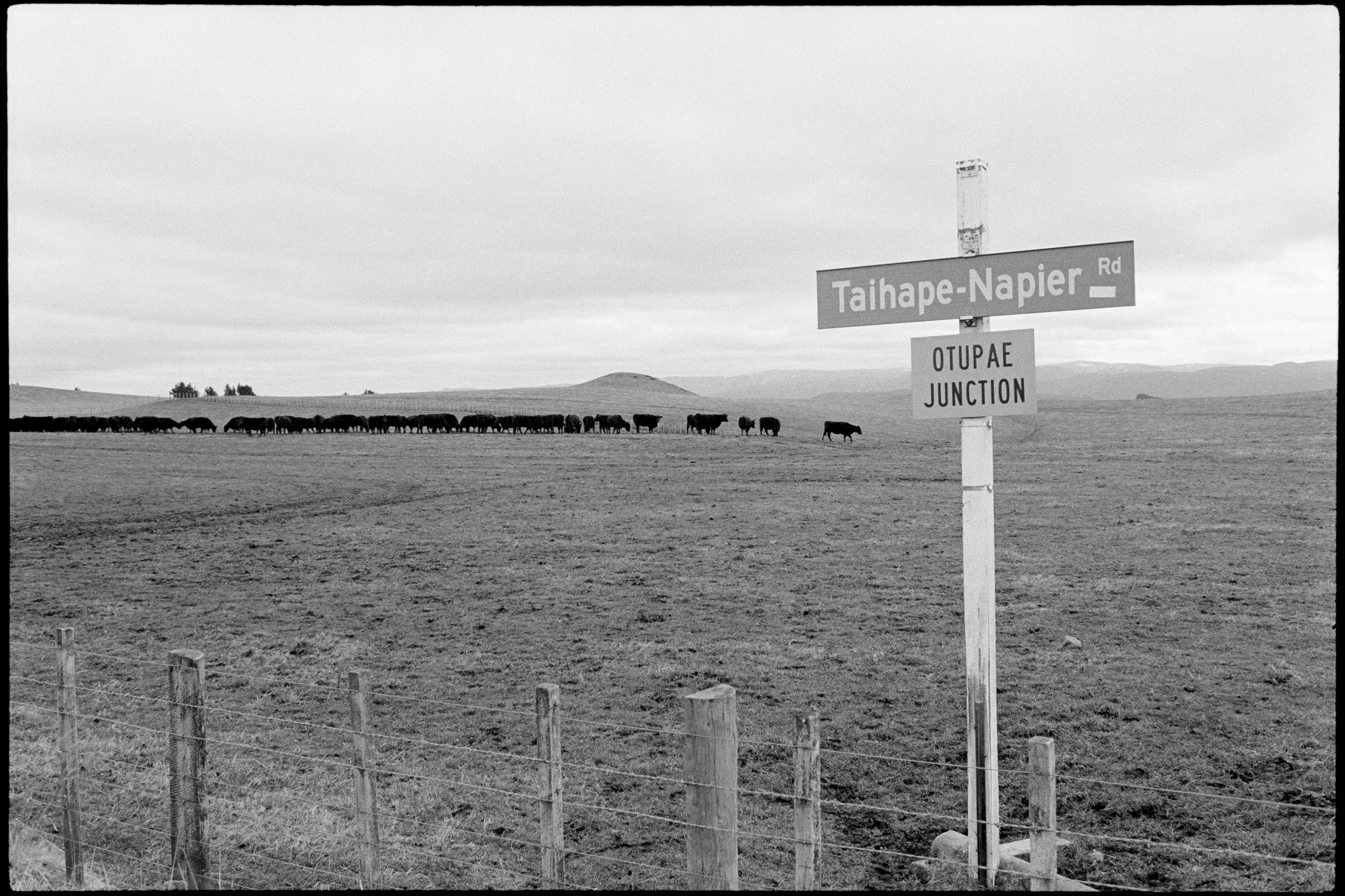 Taihape - Napier Road