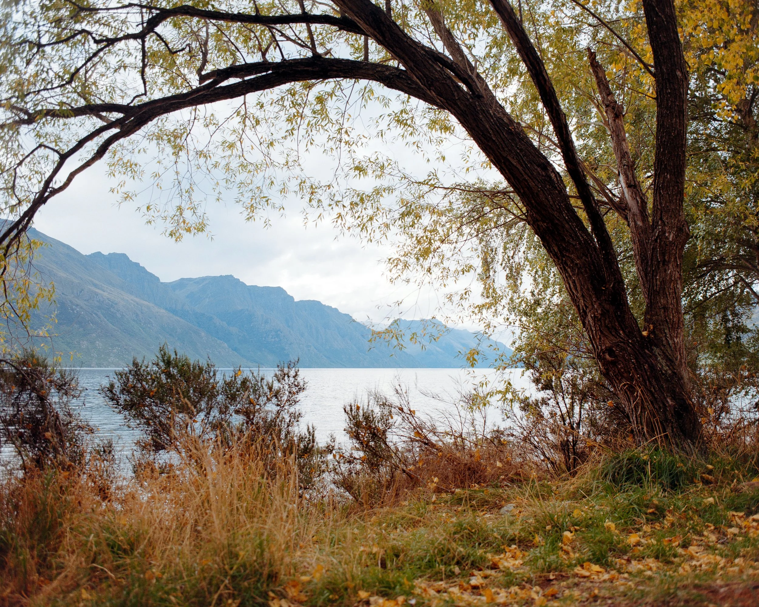 Lake Wakatipu