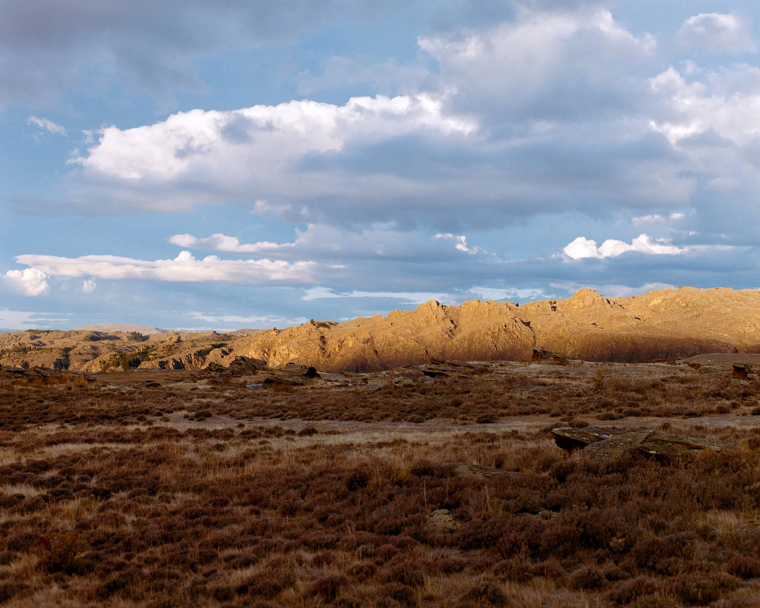 Near Alexandra