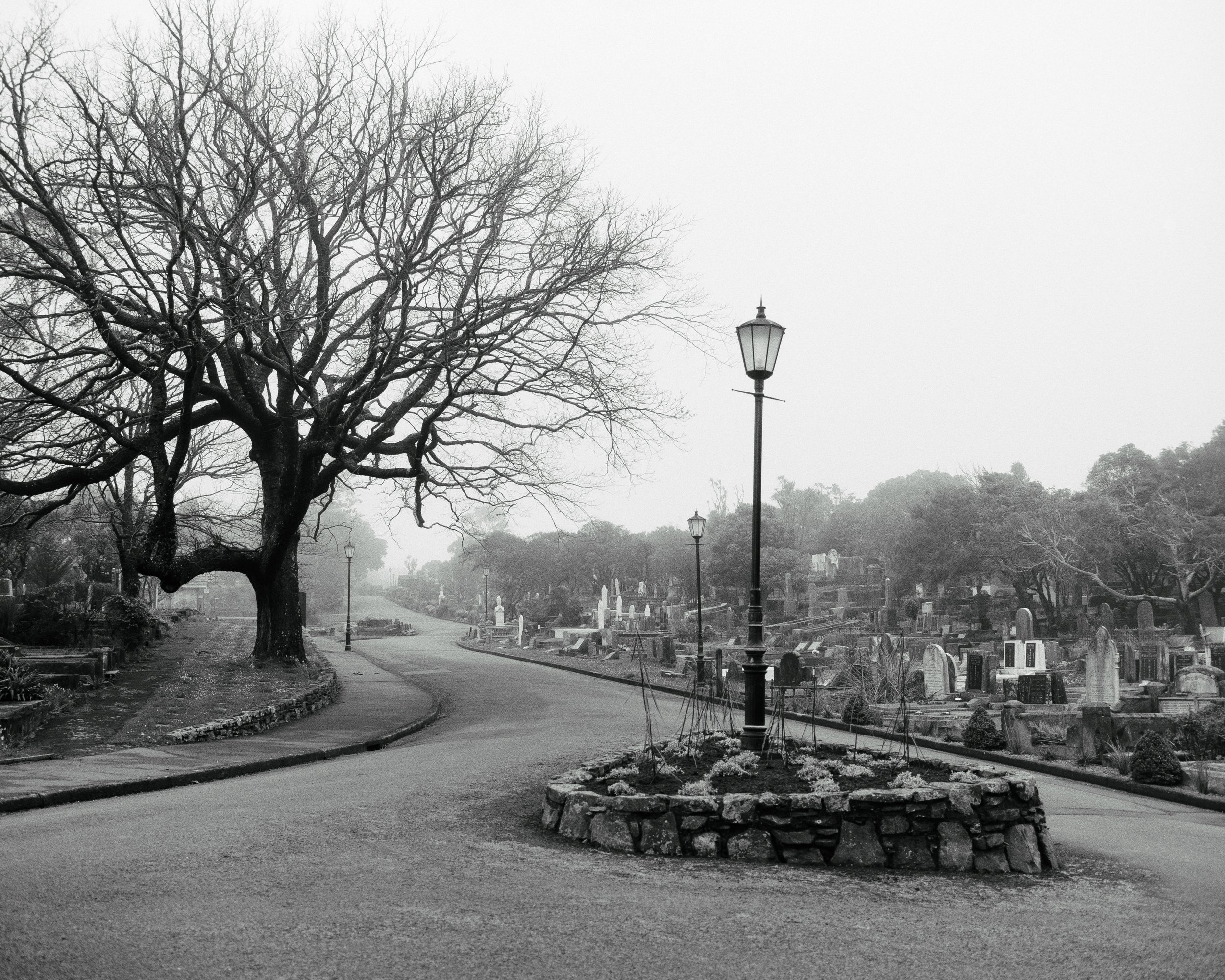 Karori Cemetery 