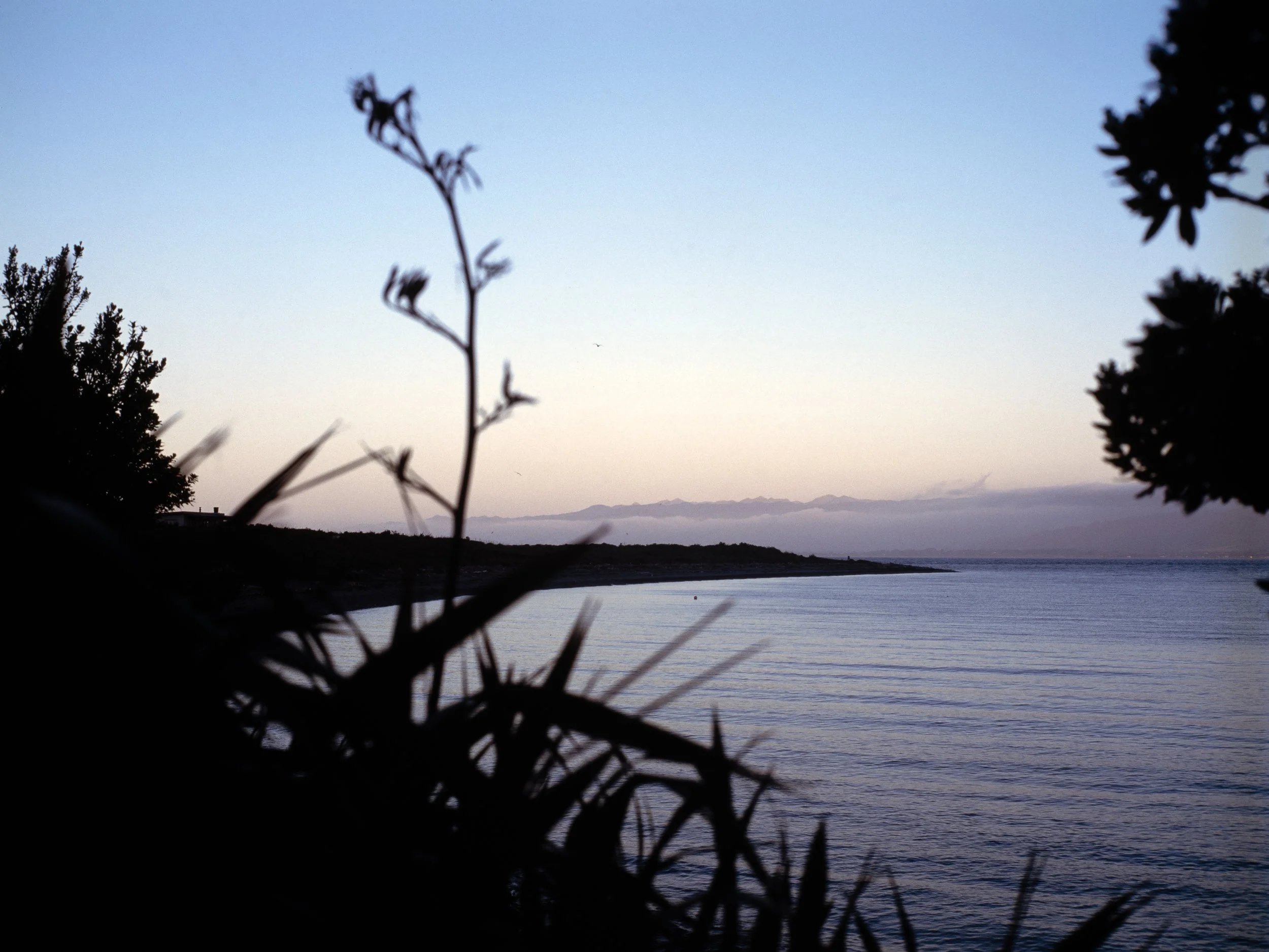 Kapiti Island