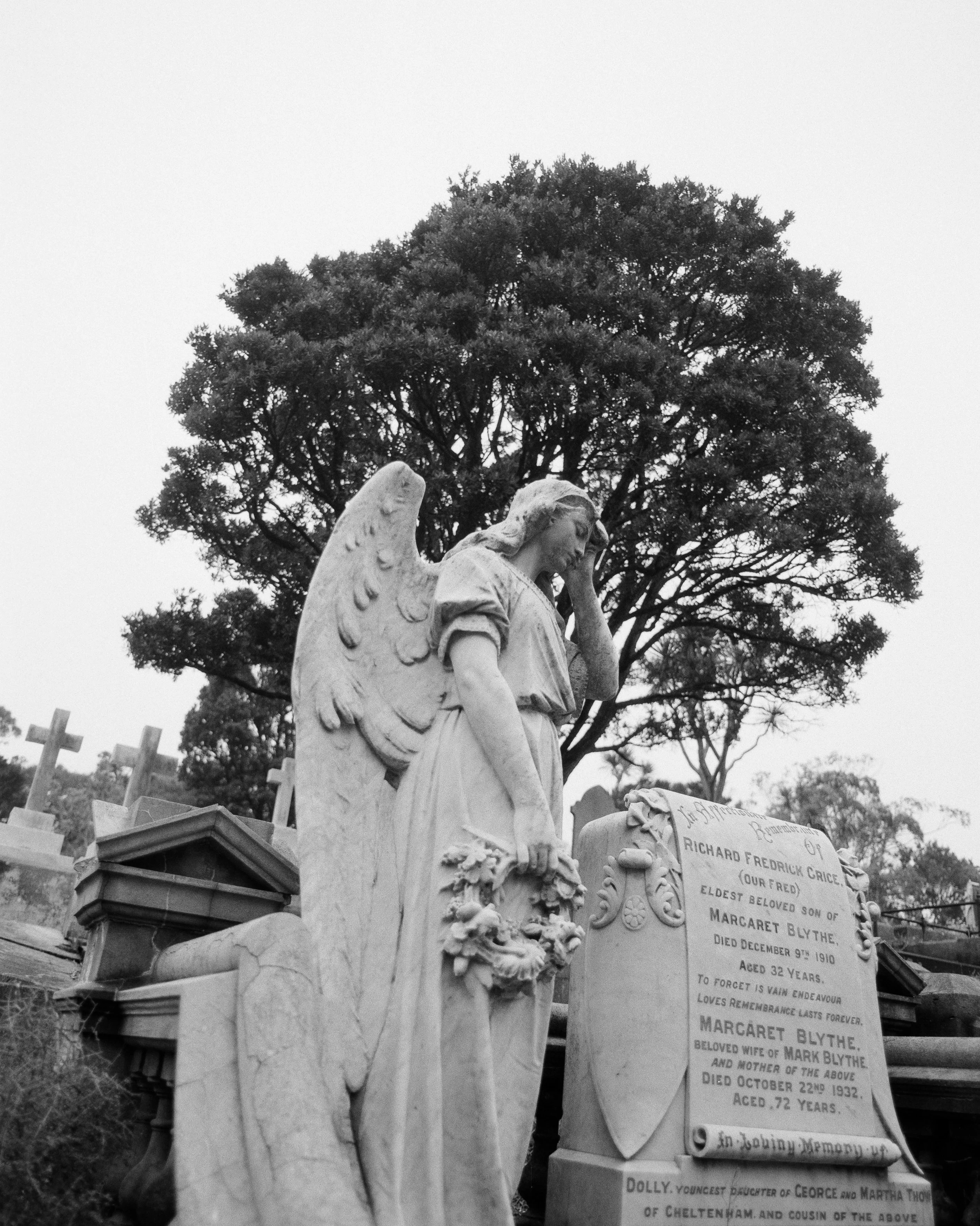 Karori Cemetery 