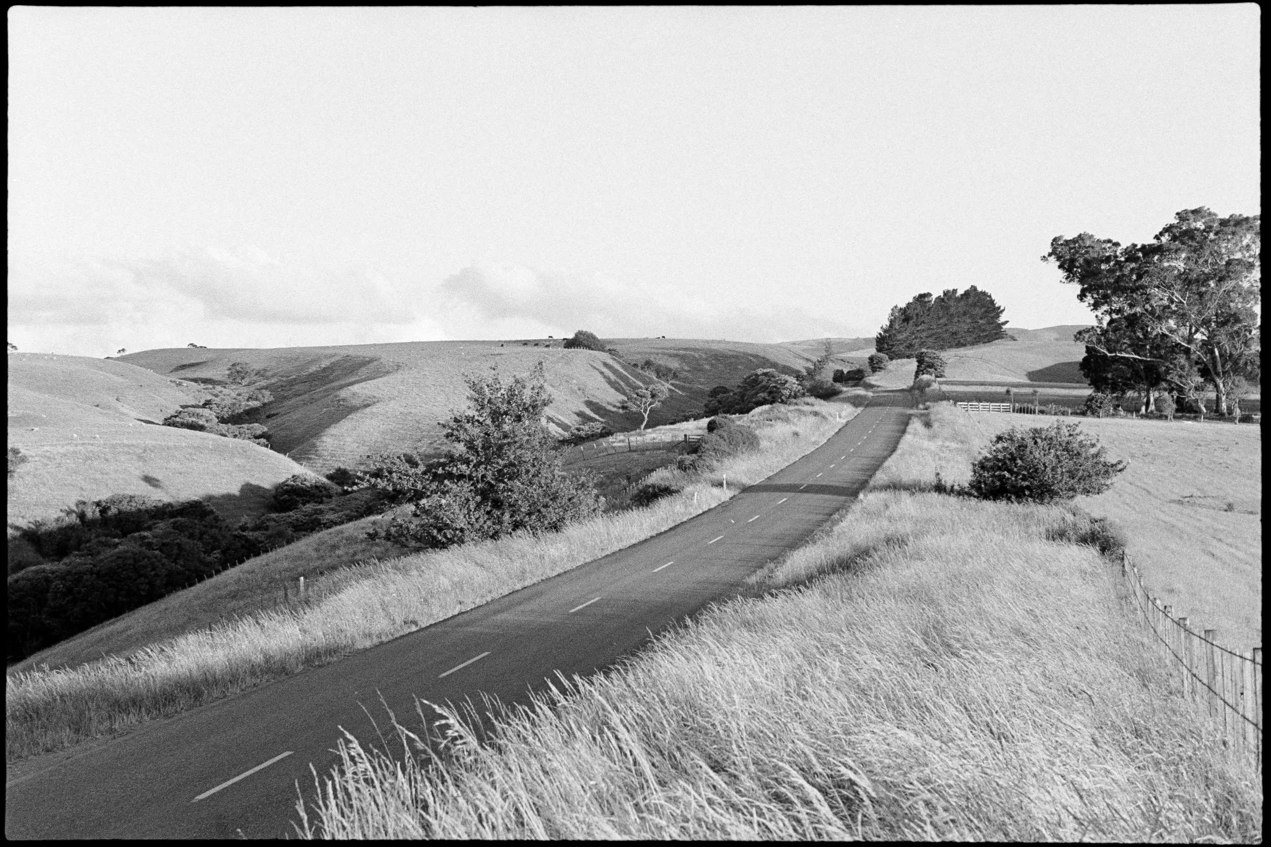 White Rock Road