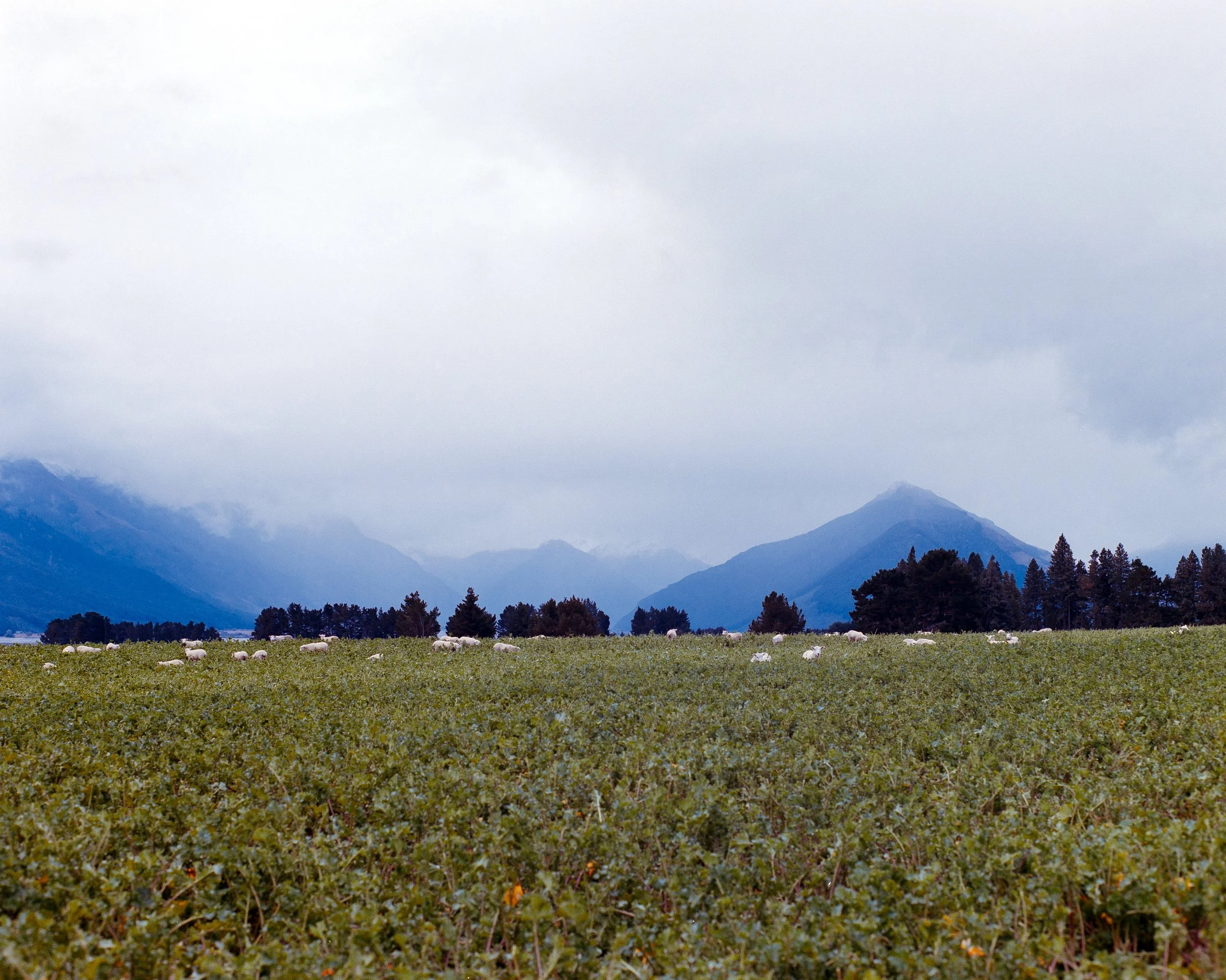Near Glenorchy