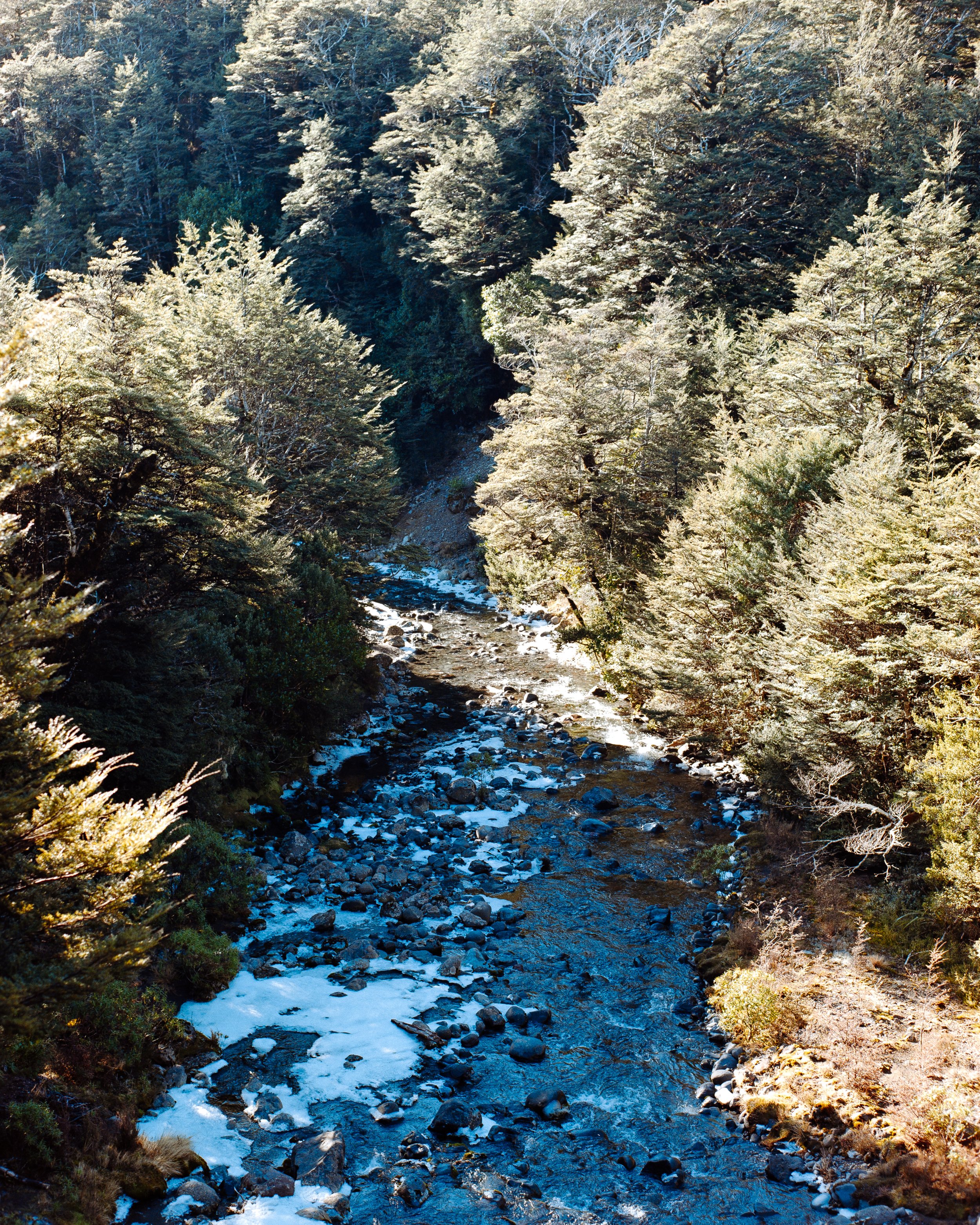 Taranaki Falls Track