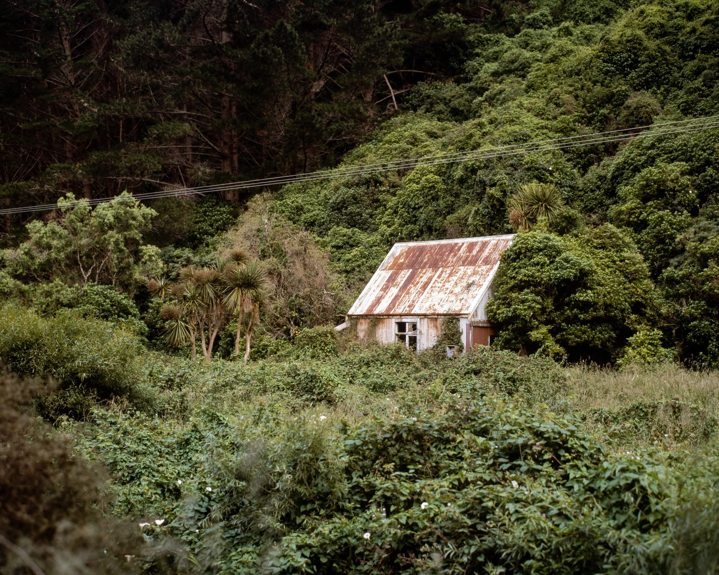 Old House, Makara Road