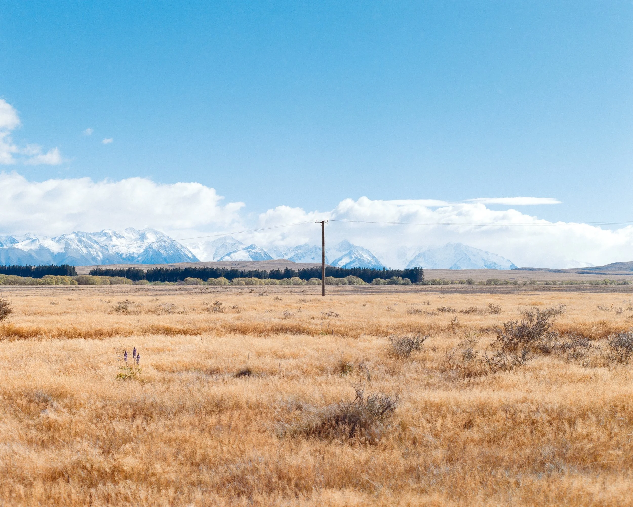 Mackenzie Country