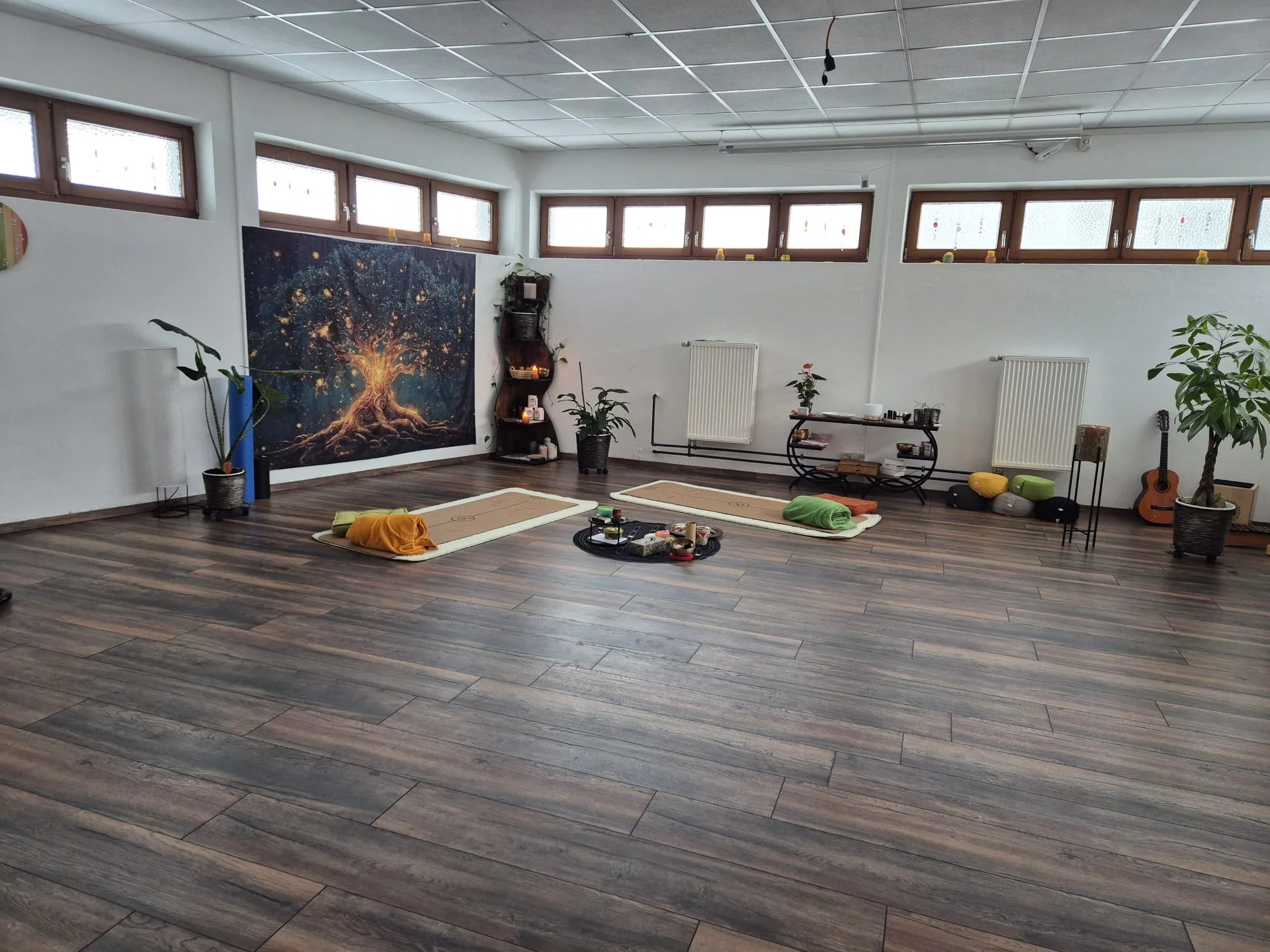 WhatsApp Image 2026-01-17 at 13.34.44.jpeg