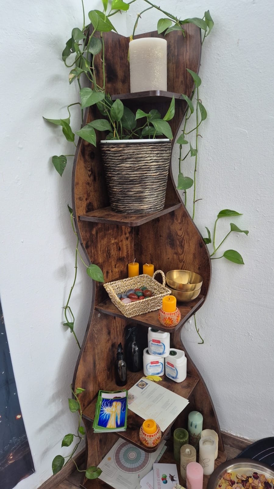 WhatsApp Image 2026-01-24 at 12.26.22.jpeg