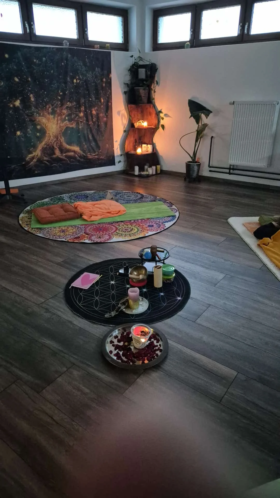 WhatsApp Image 2026-03-15 at 08.29.28 (1).jpeg