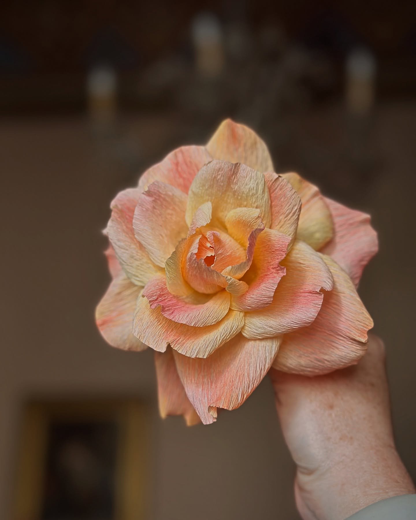 Post-vacation flower for fun.