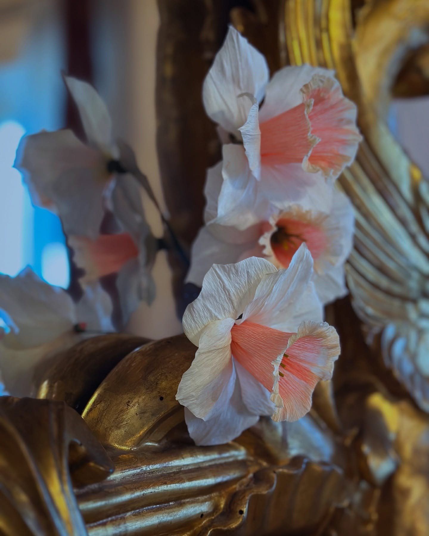 Pink Parasol Daffodils (Narcissus) 

Paper: @cartotecnicarossi